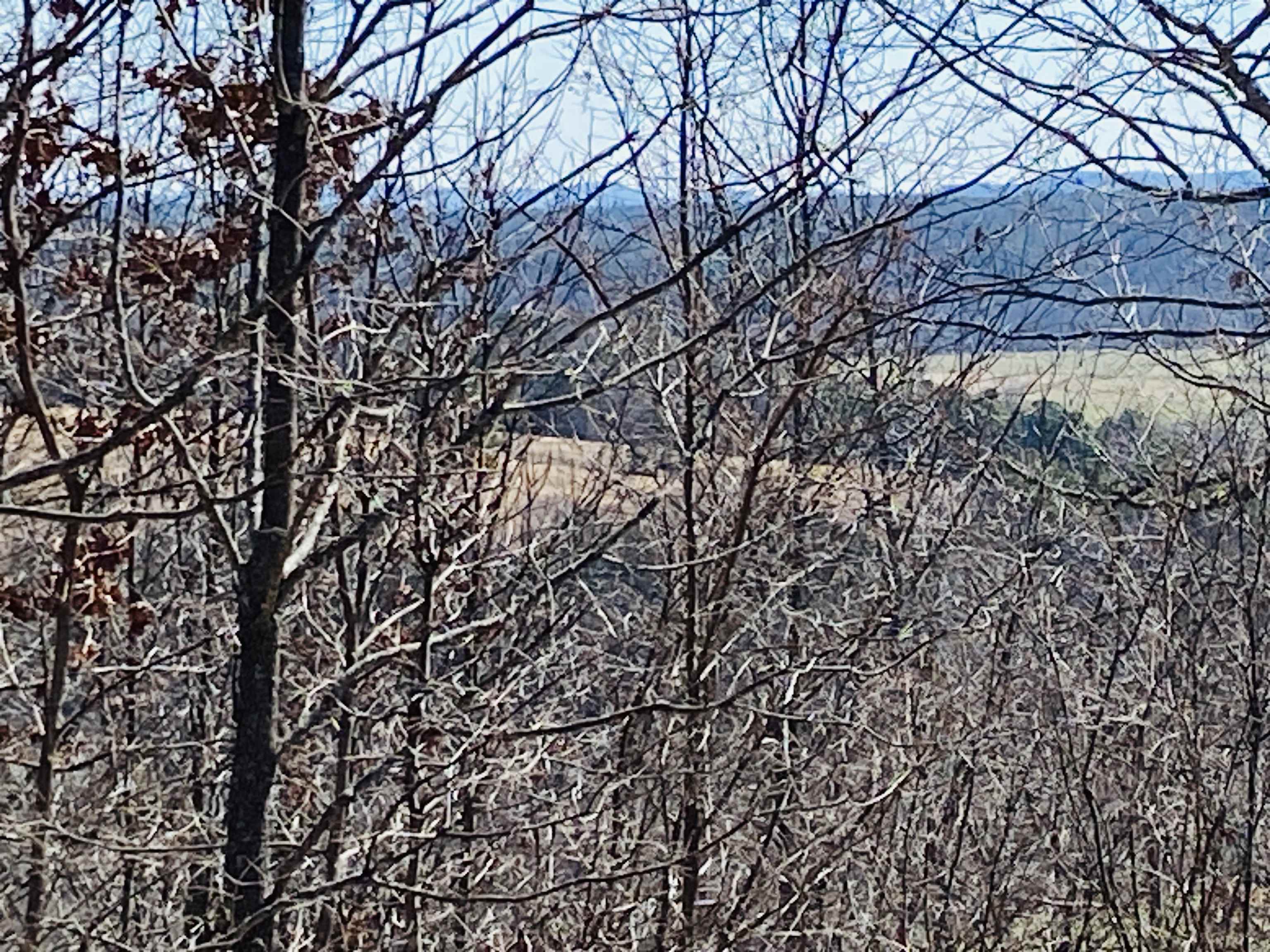 Lots 6,7,8 River Bend Ridge  Calico Rock, AR