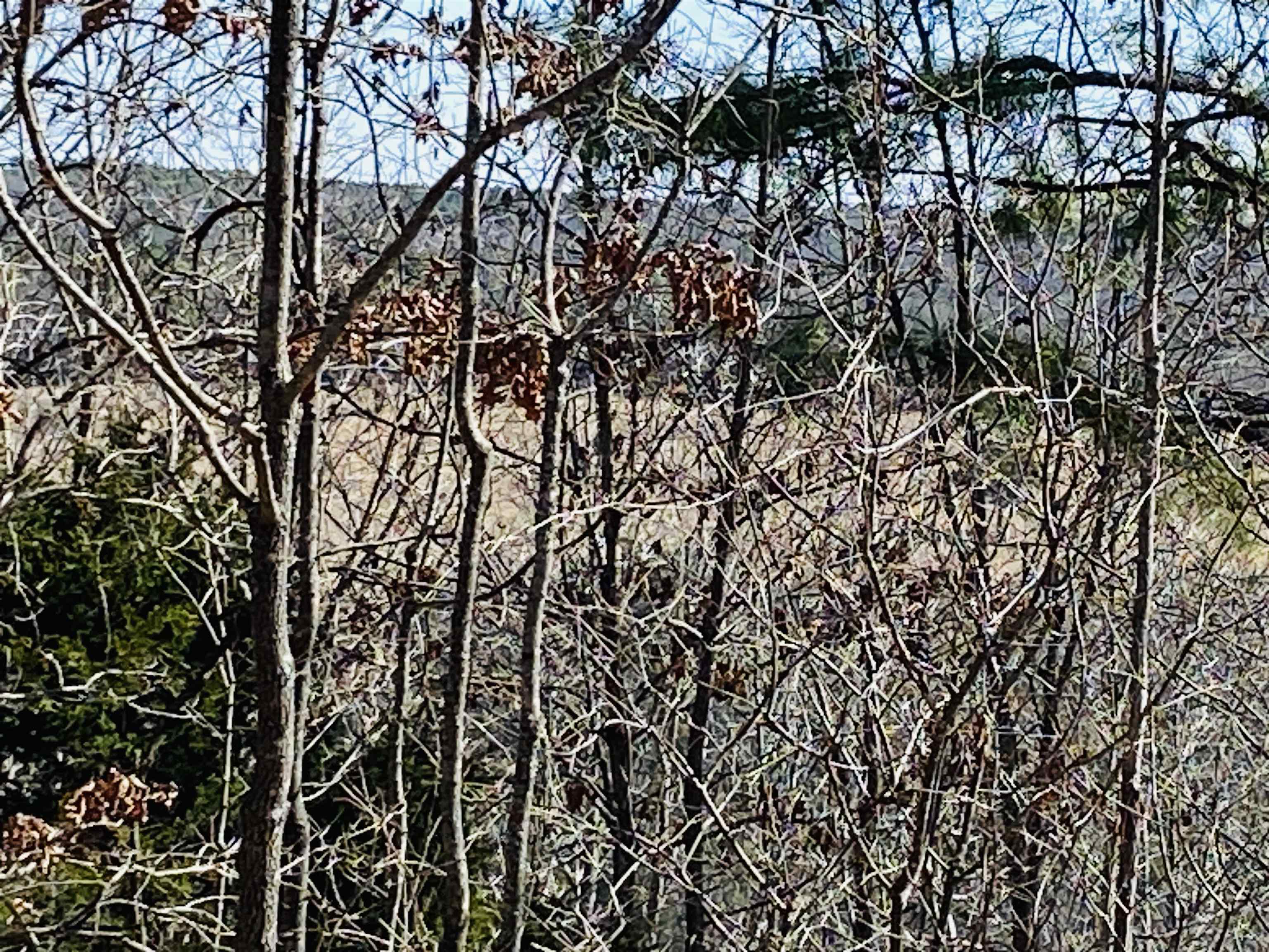 Lots 6,7,8 River Bend Ridge  Calico Rock, AR