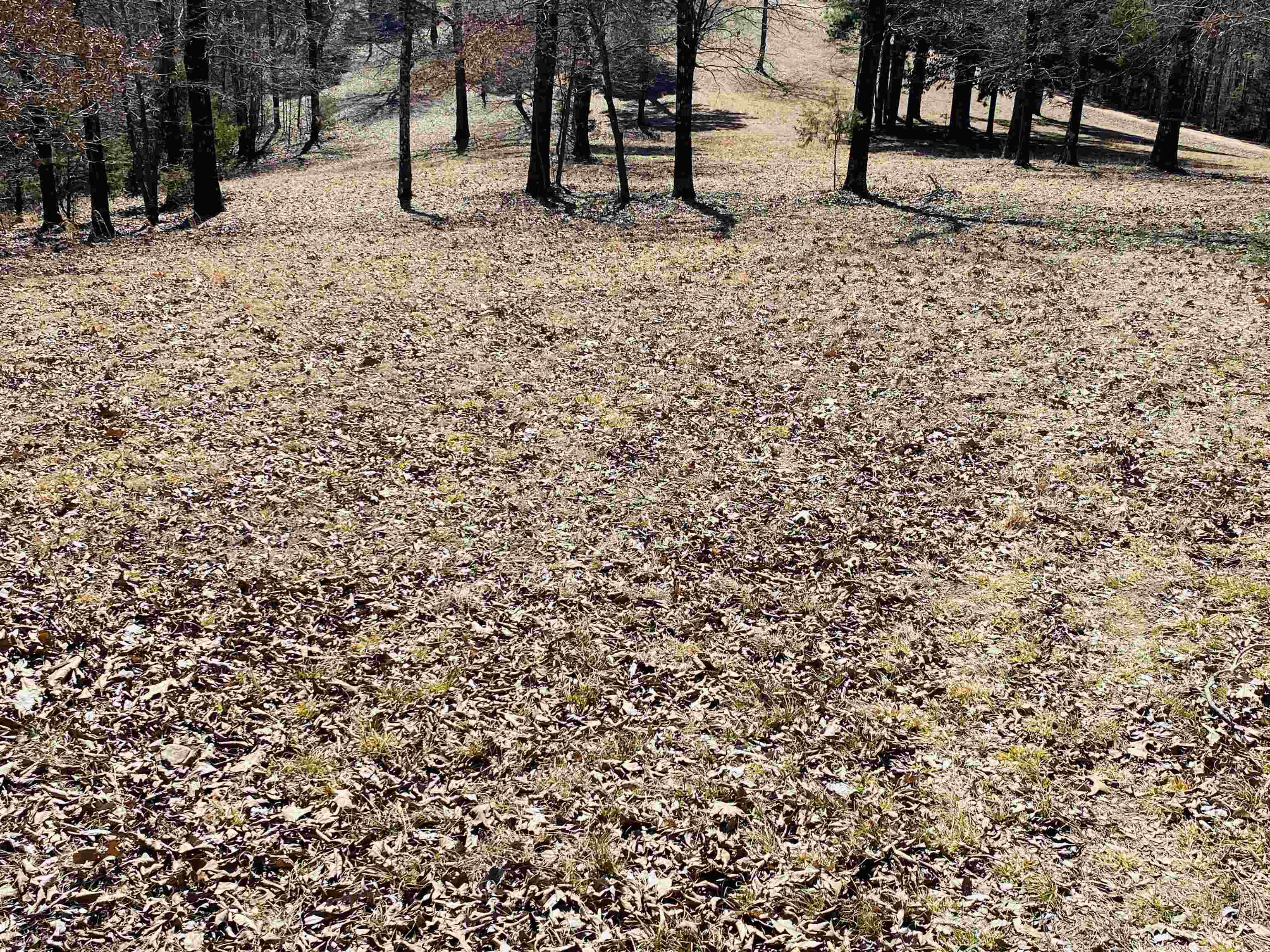 Lots 6,7,8 River Bend Ridge  Calico Rock, AR