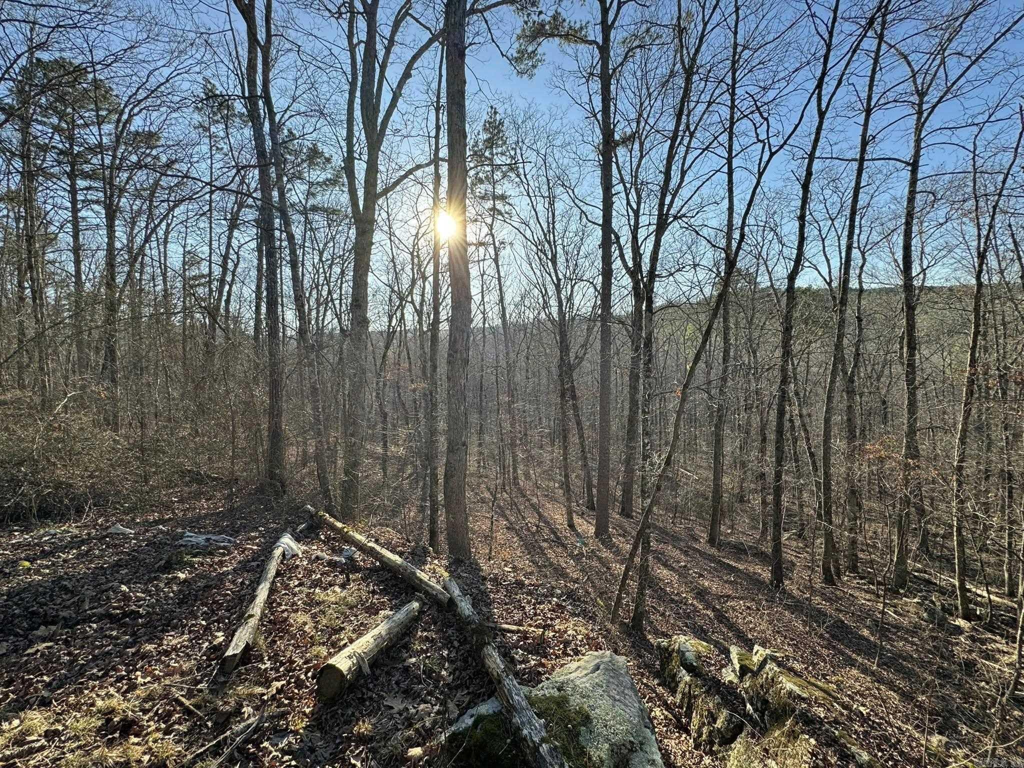 2101 Keilhorn Ridge Road  Mountain View, AR