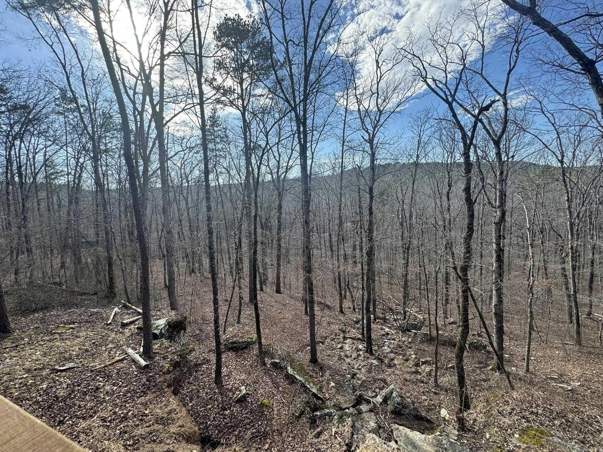 2101 Keilhorn Ridge Road  Mountain View, AR