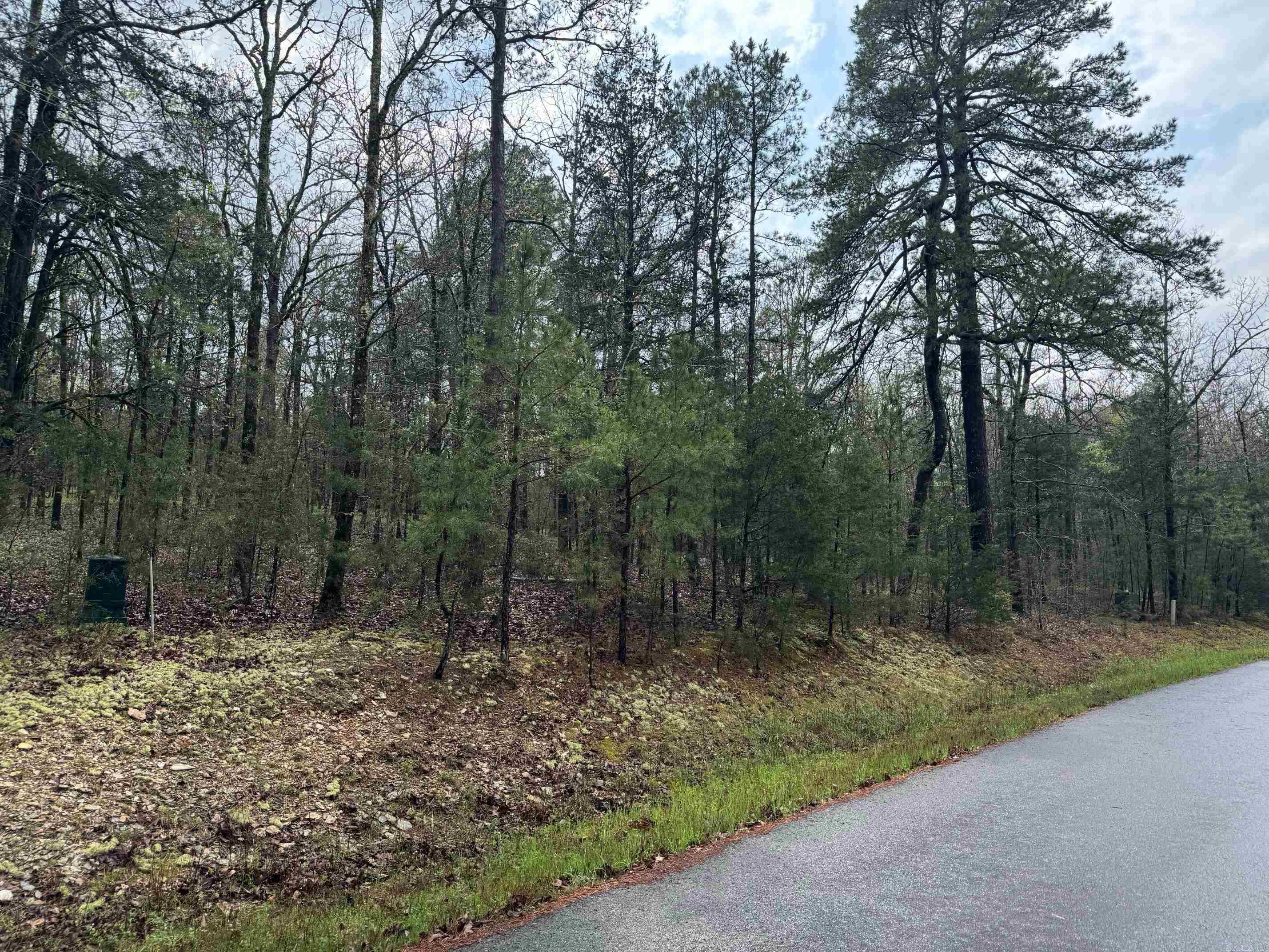 12 PERFECTO CT  Hot Springs Village, AR