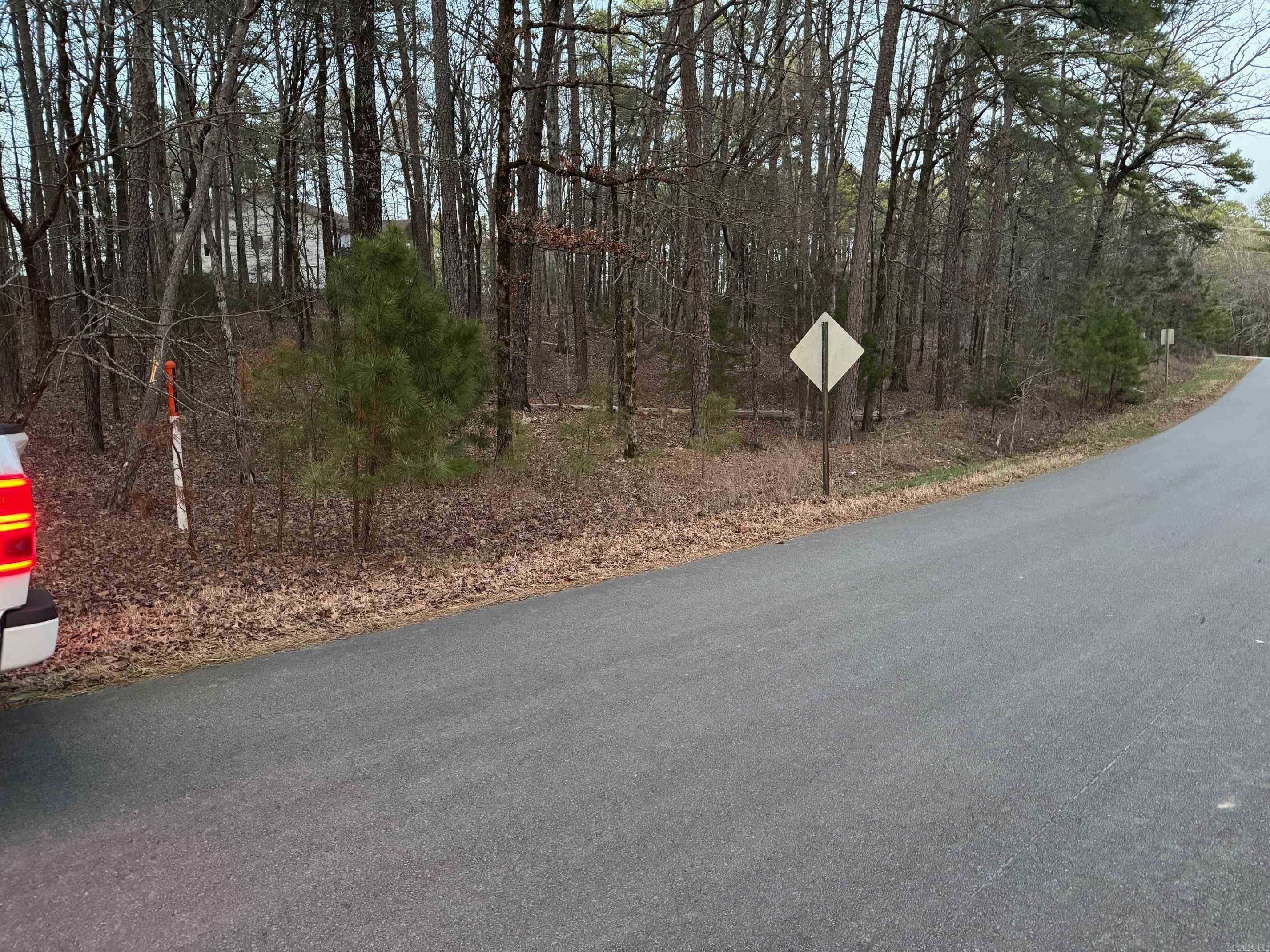 55 LAVANDA LANE  Hot Springs Village, AR