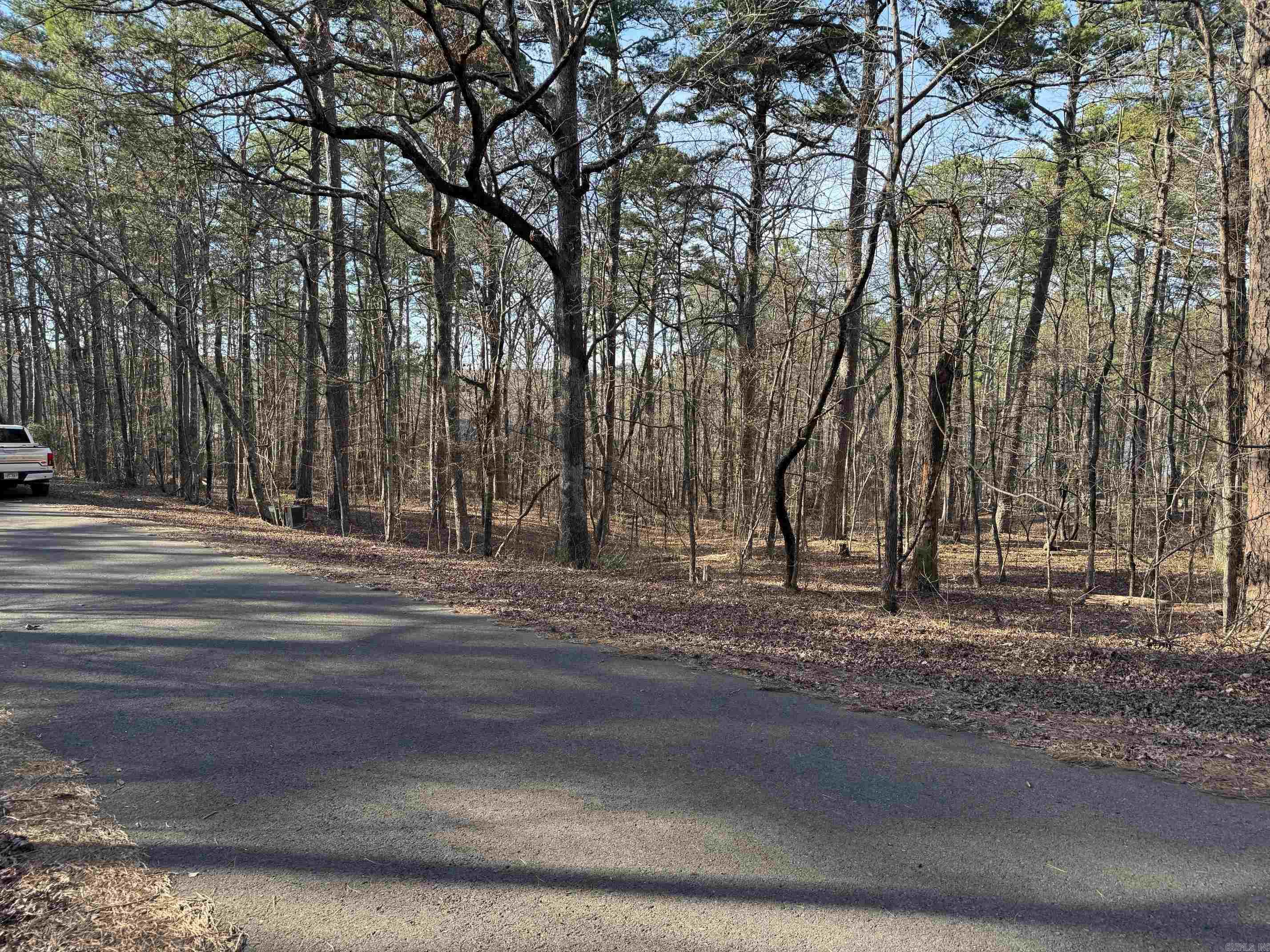 93 RONQUILLO WAY  Hot Springs Village, AR