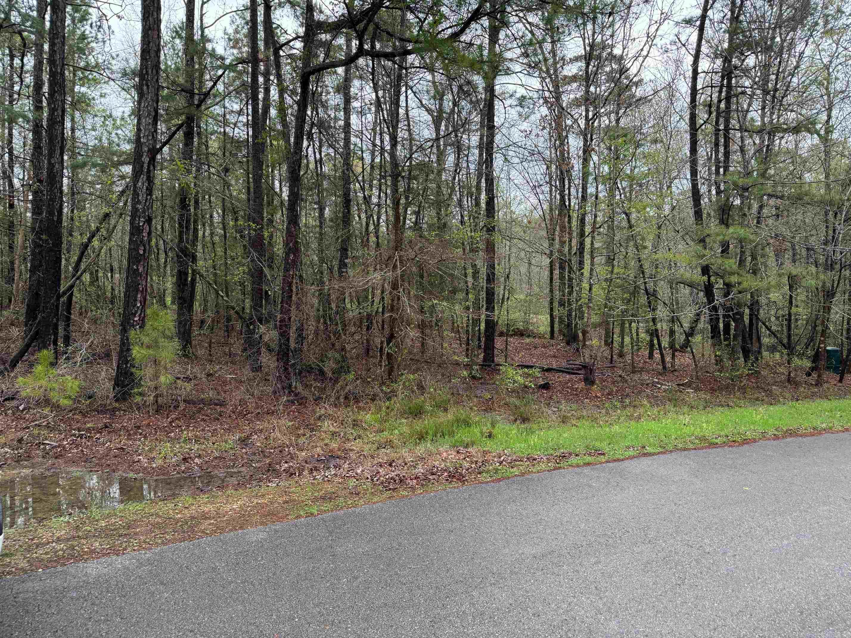 32 FACHADO WAY  Hot Springs Village, AR