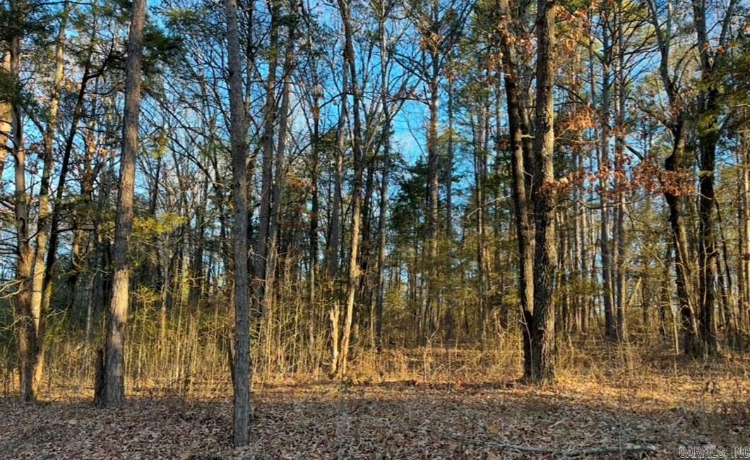 Lots 9 &10 Kip Lane  Clinton, AR