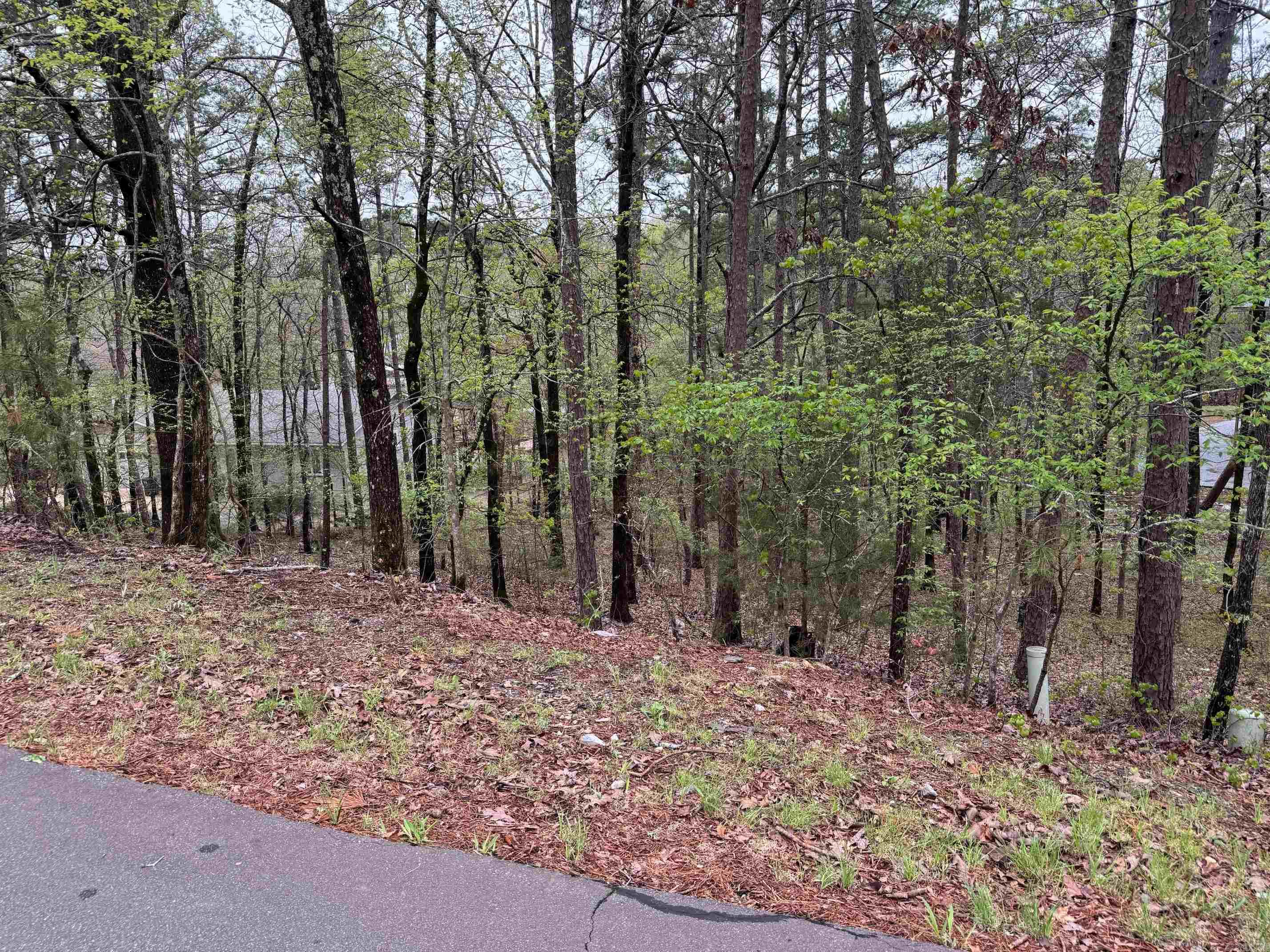 16 CARIBE WAY  Hot Springs Village, AR