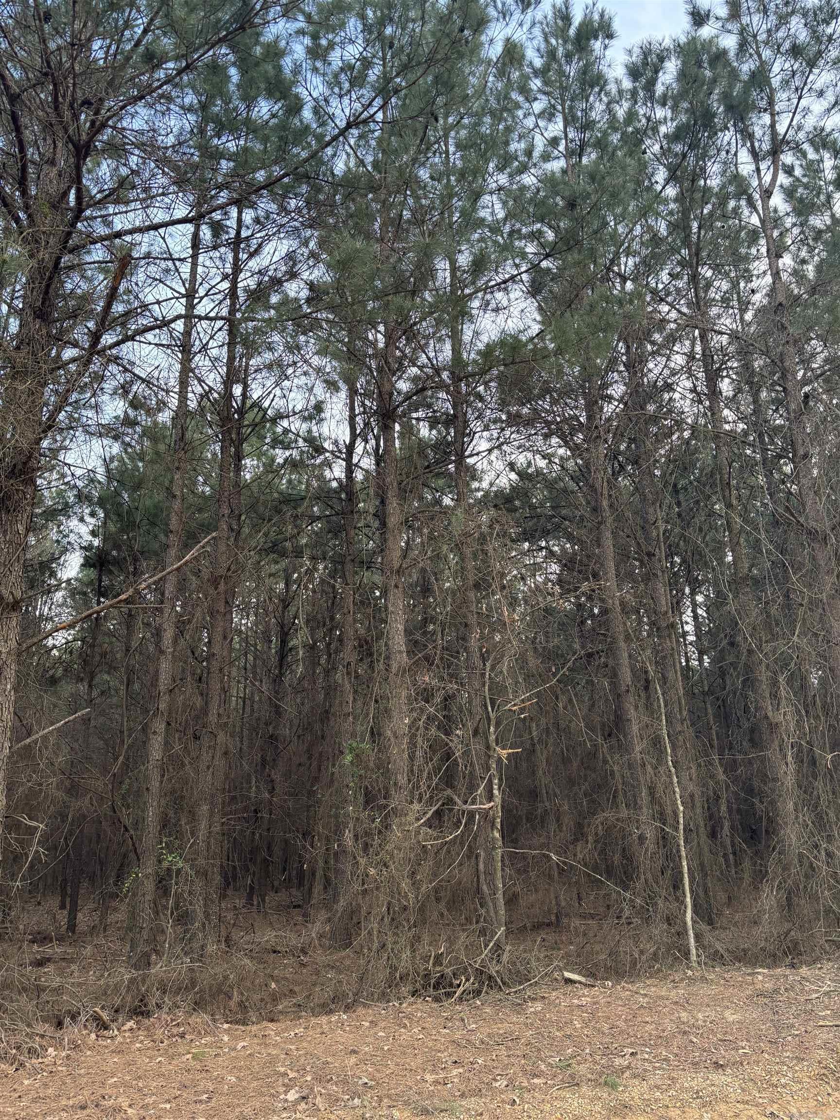 910 Highway 8  Warren, AR