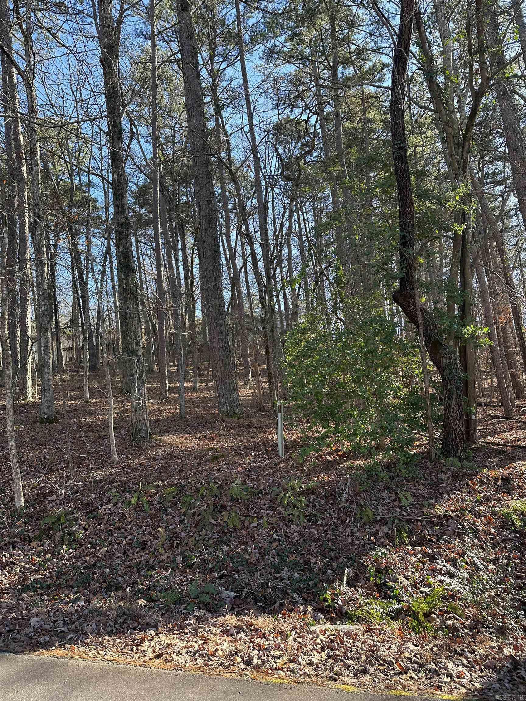  Arias  Hot Springs Village, AR