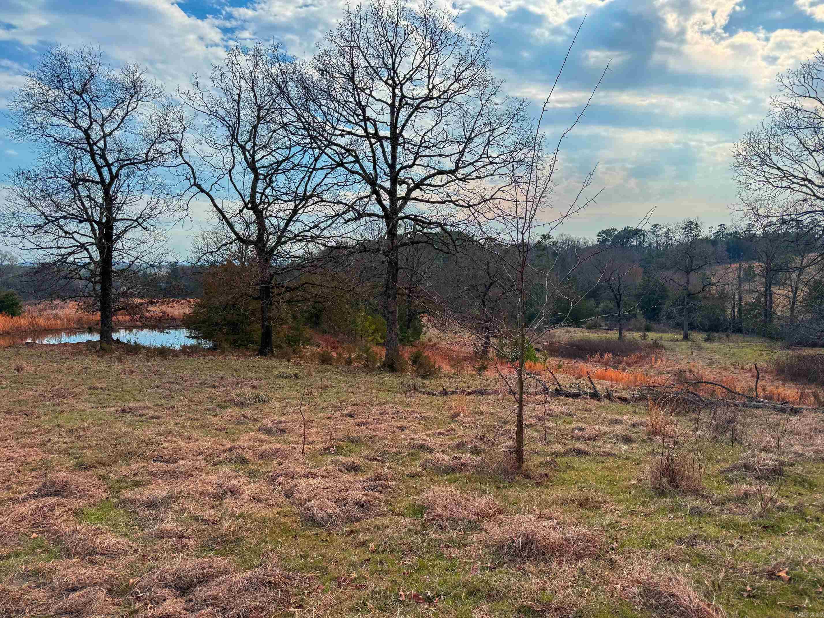 2482 County Road 3451 Clarksville, AR 72830