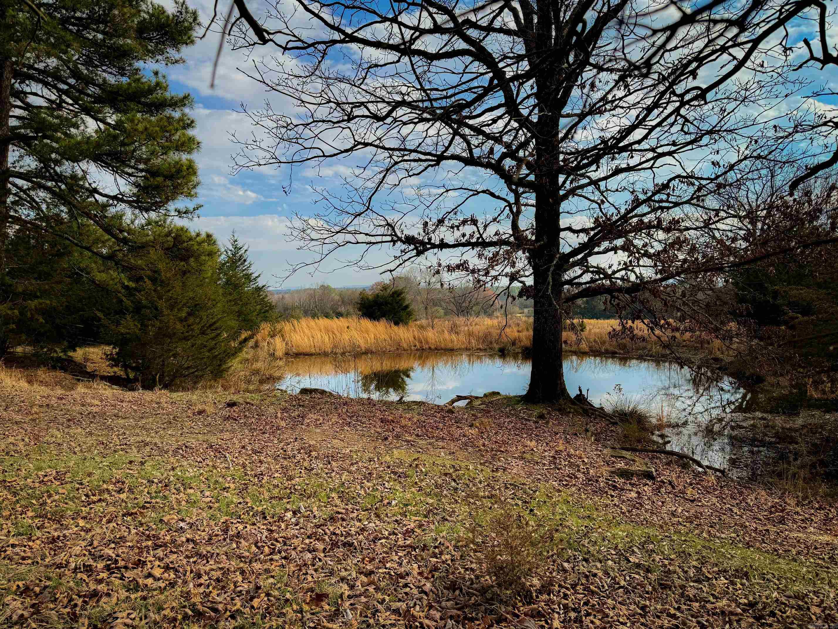 2482 County Road 3451 Clarksville, AR 72830