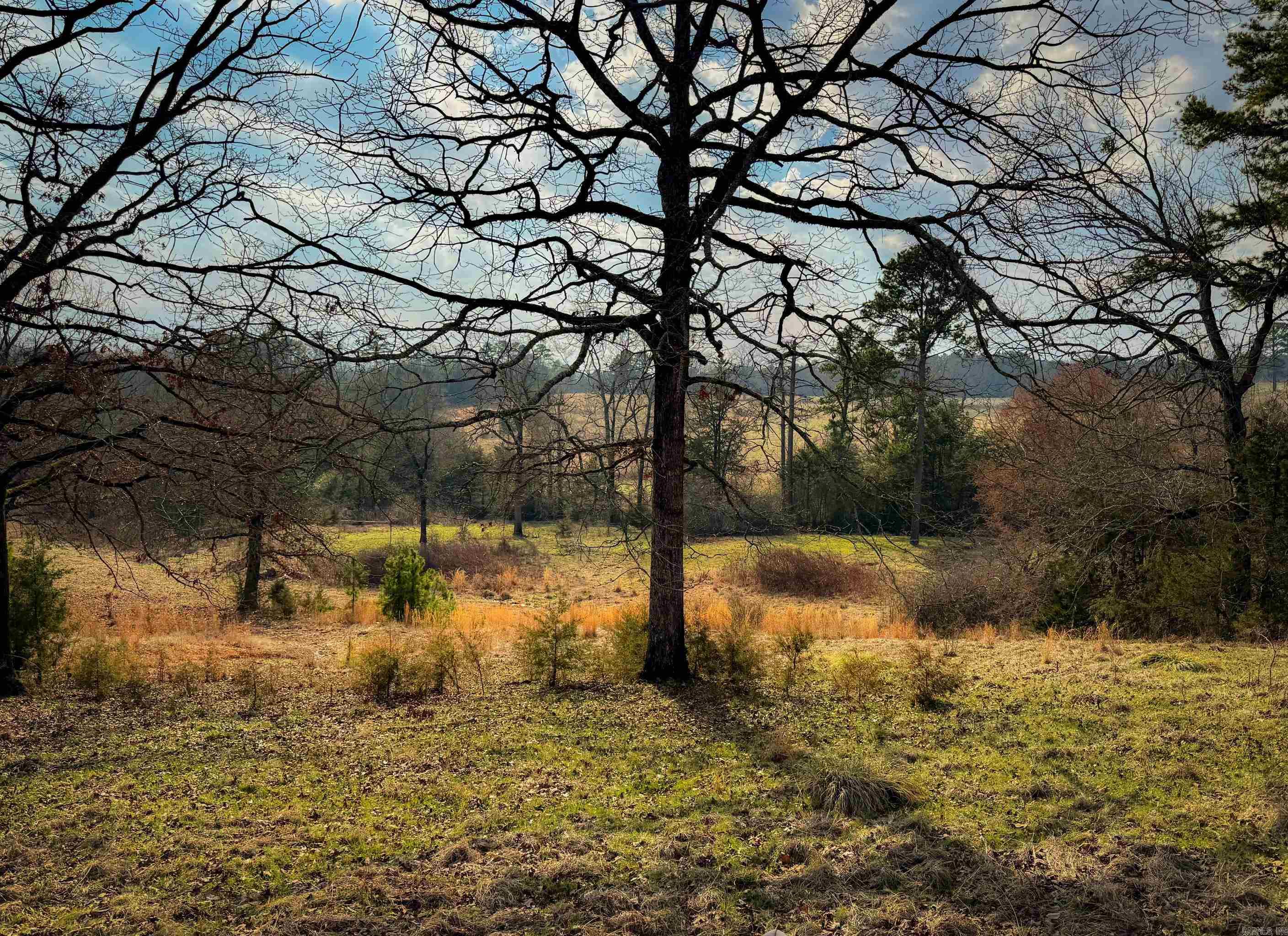 2482 County Road 3451 Clarksville, AR 72830