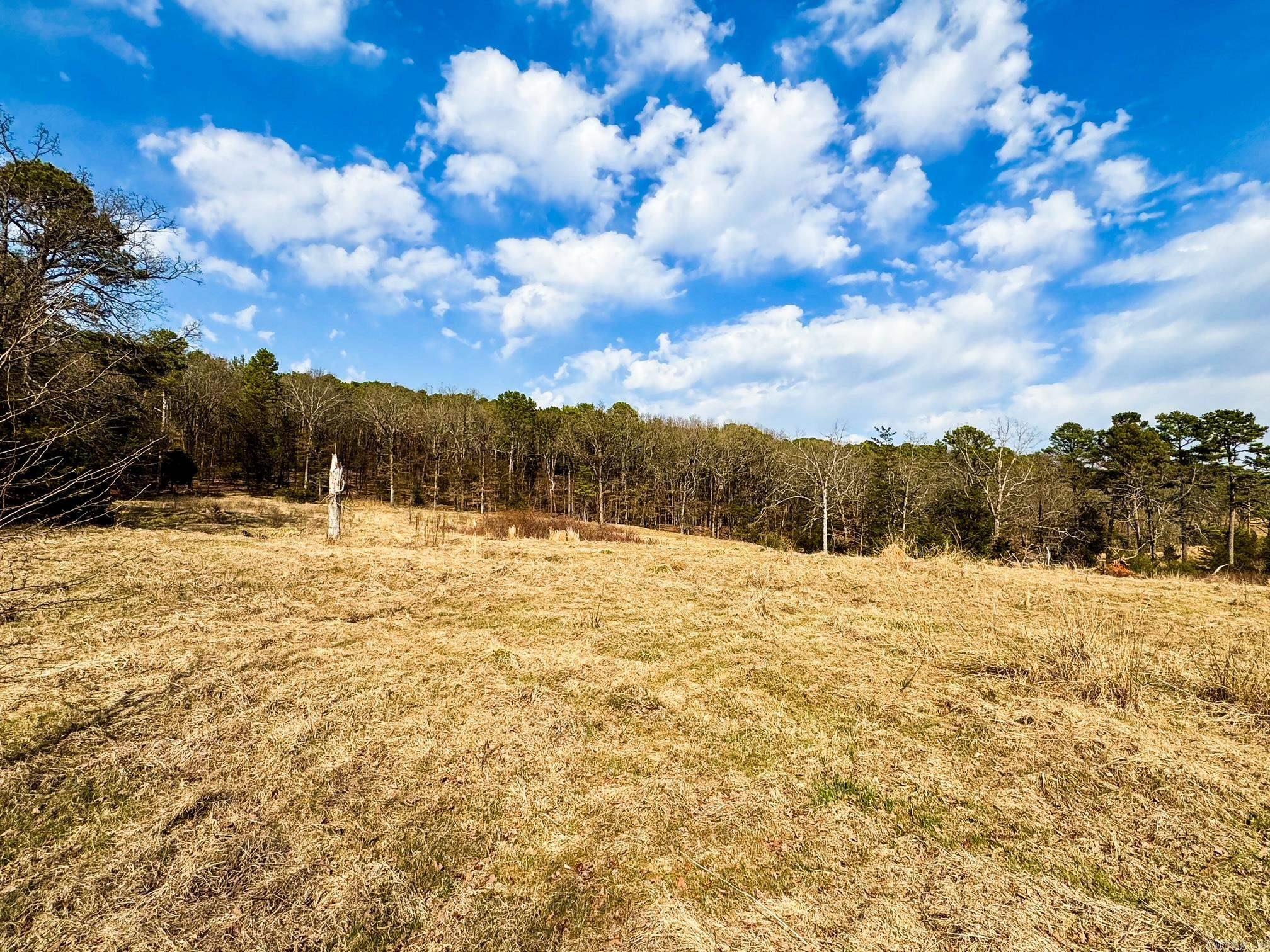 2482 County Road 3451 Clarksville, AR 72830