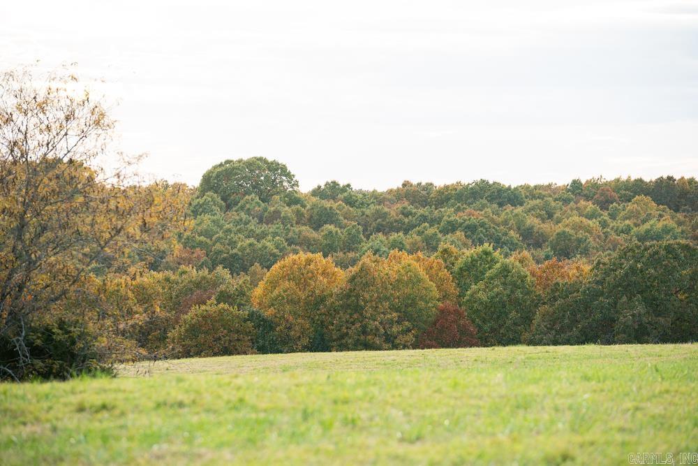  CR 663  Oak Grove, AR