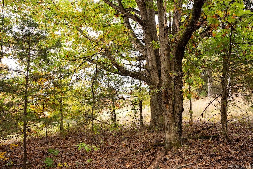  CR 663  Oak Grove, AR