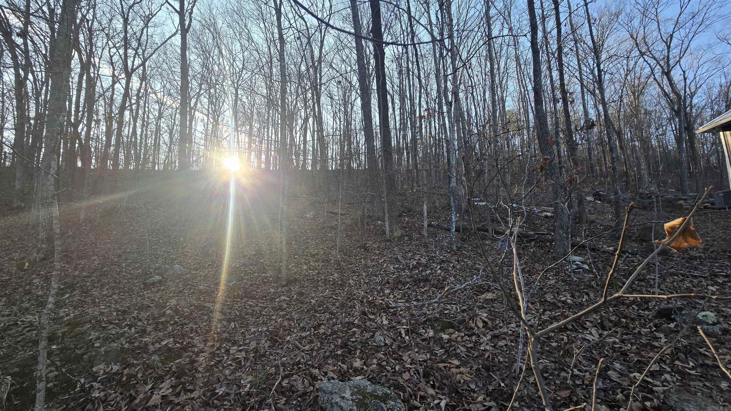 Lot 66 Lower Ridge  Edgemont, AR