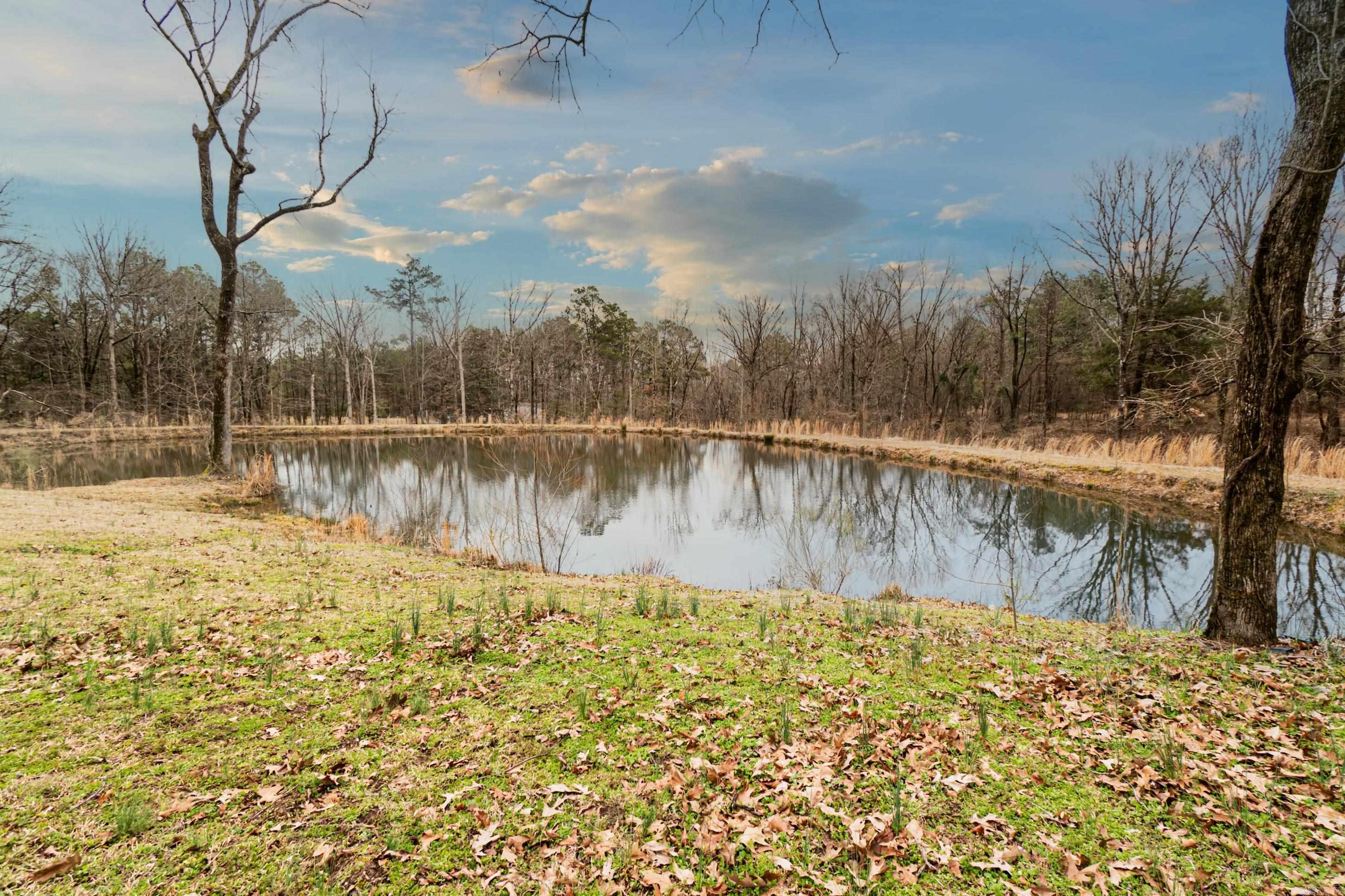 158 Seventh Day Camp Rd Monticello, AR 71655