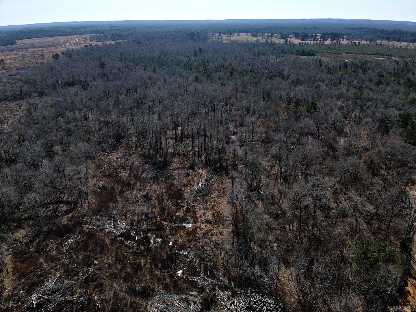  Beech Creek  Gurdon, AR