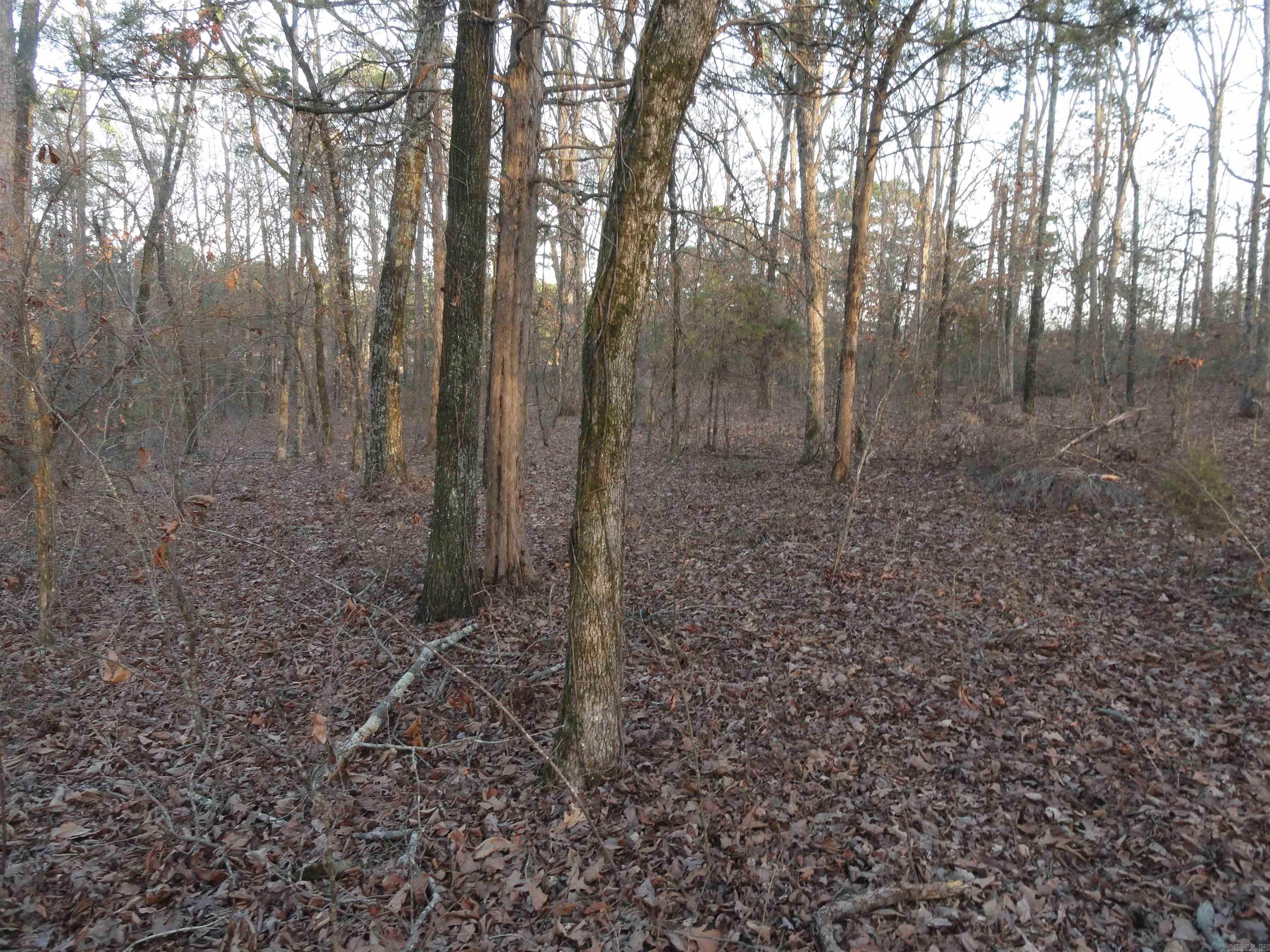 2760 Hwy 16 West Clinton, AR 72031