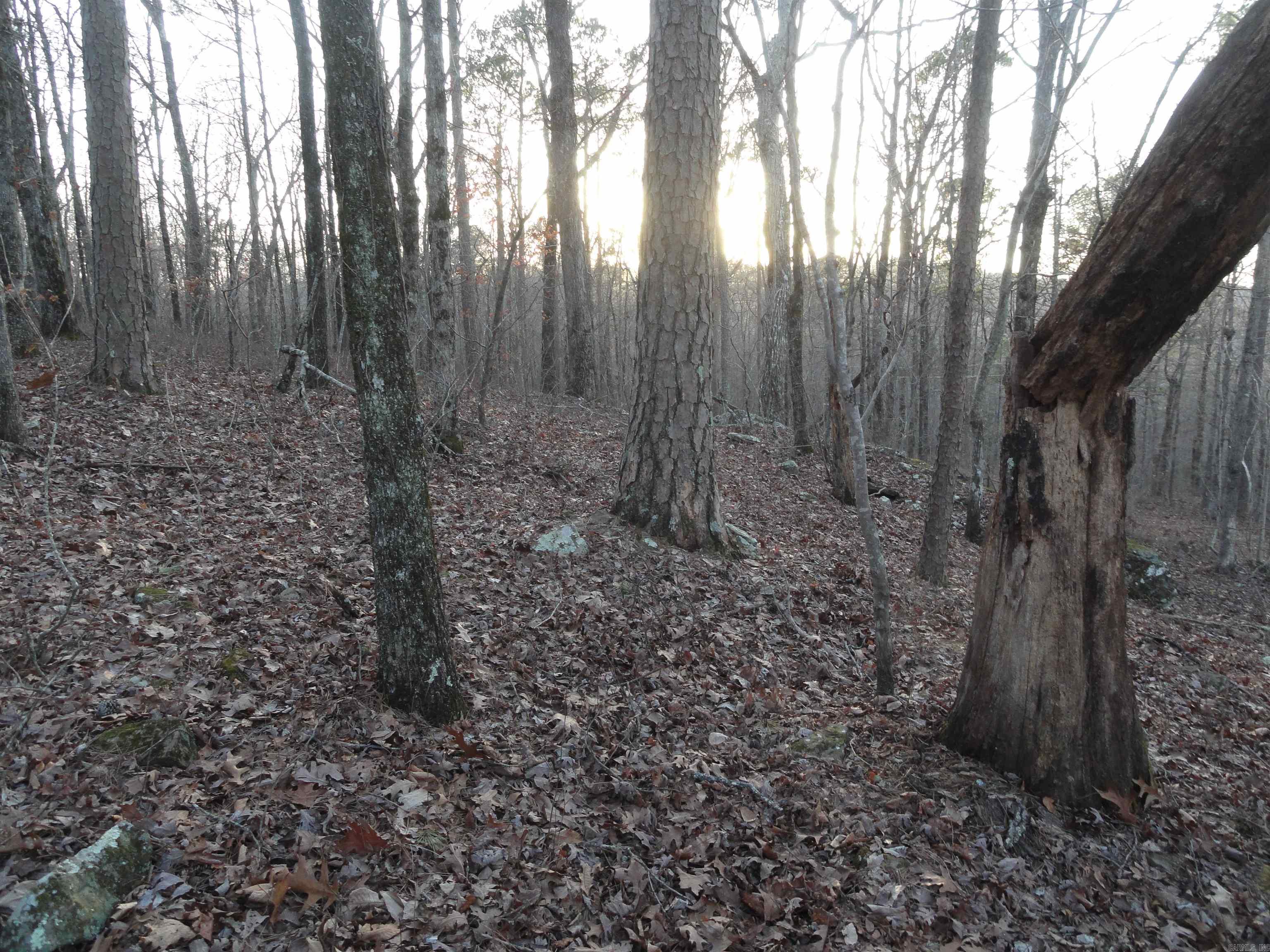 2760 Hwy 16 West Clinton, AR 72031