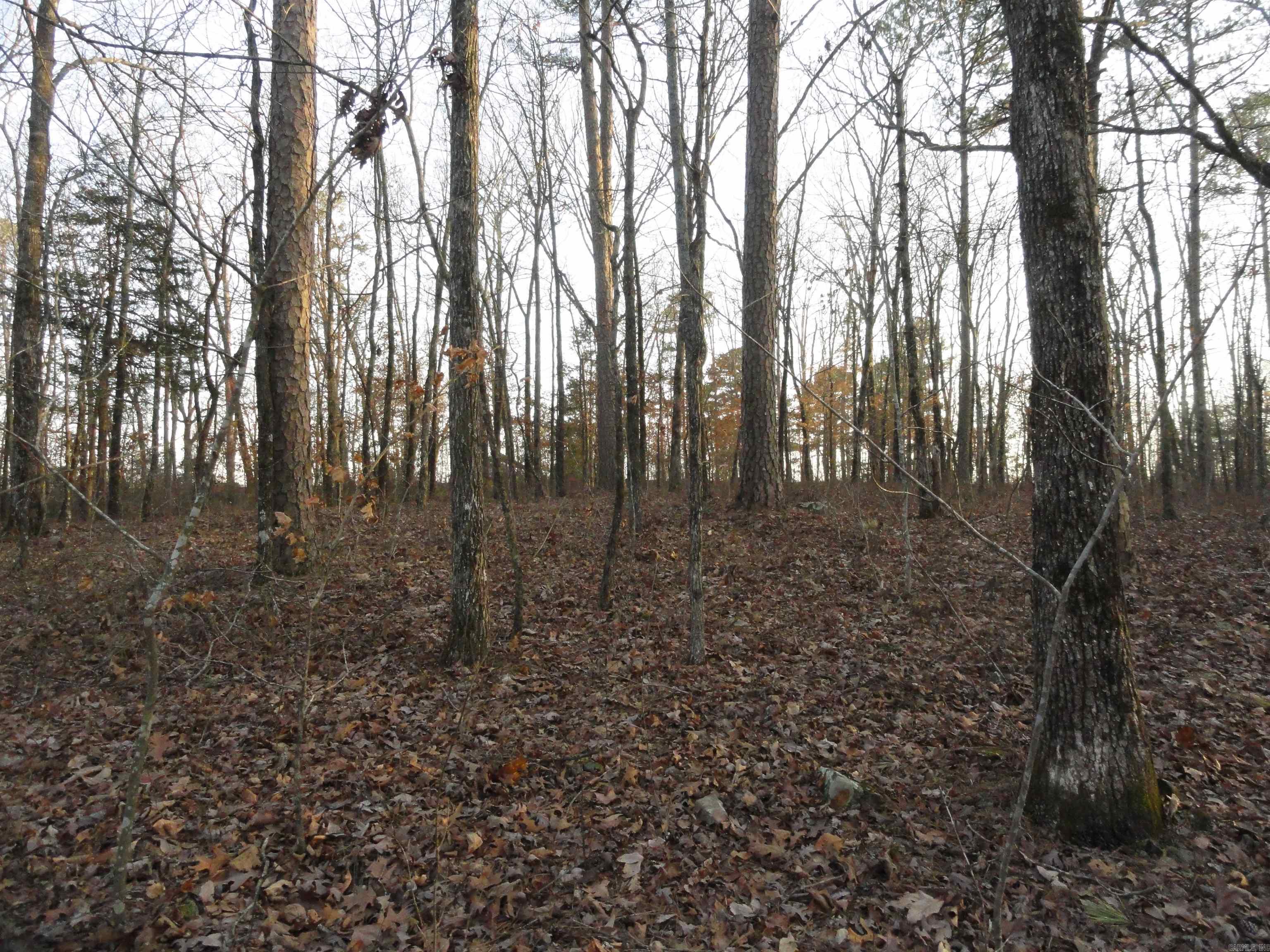 2760 Hwy 16 West Clinton, AR 72031