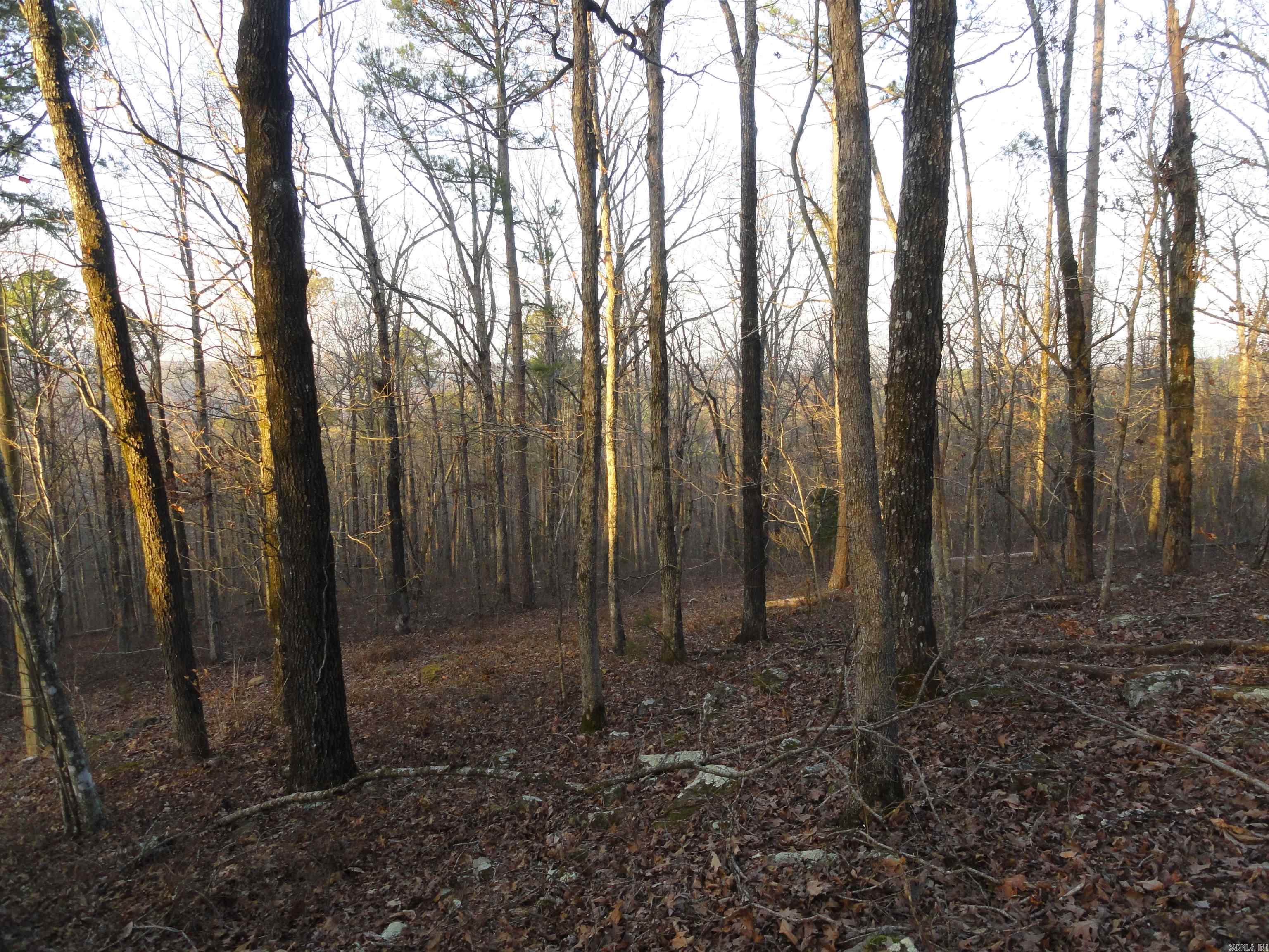 2760 Hwy 16 West Clinton, AR 72031