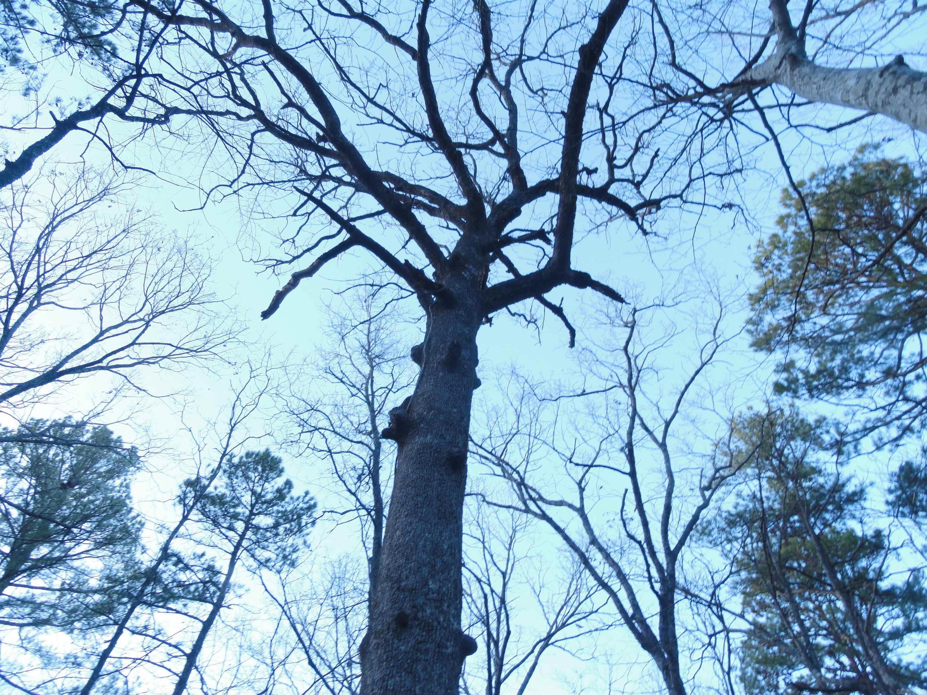 2760 Hwy 16 West Clinton, AR 72031