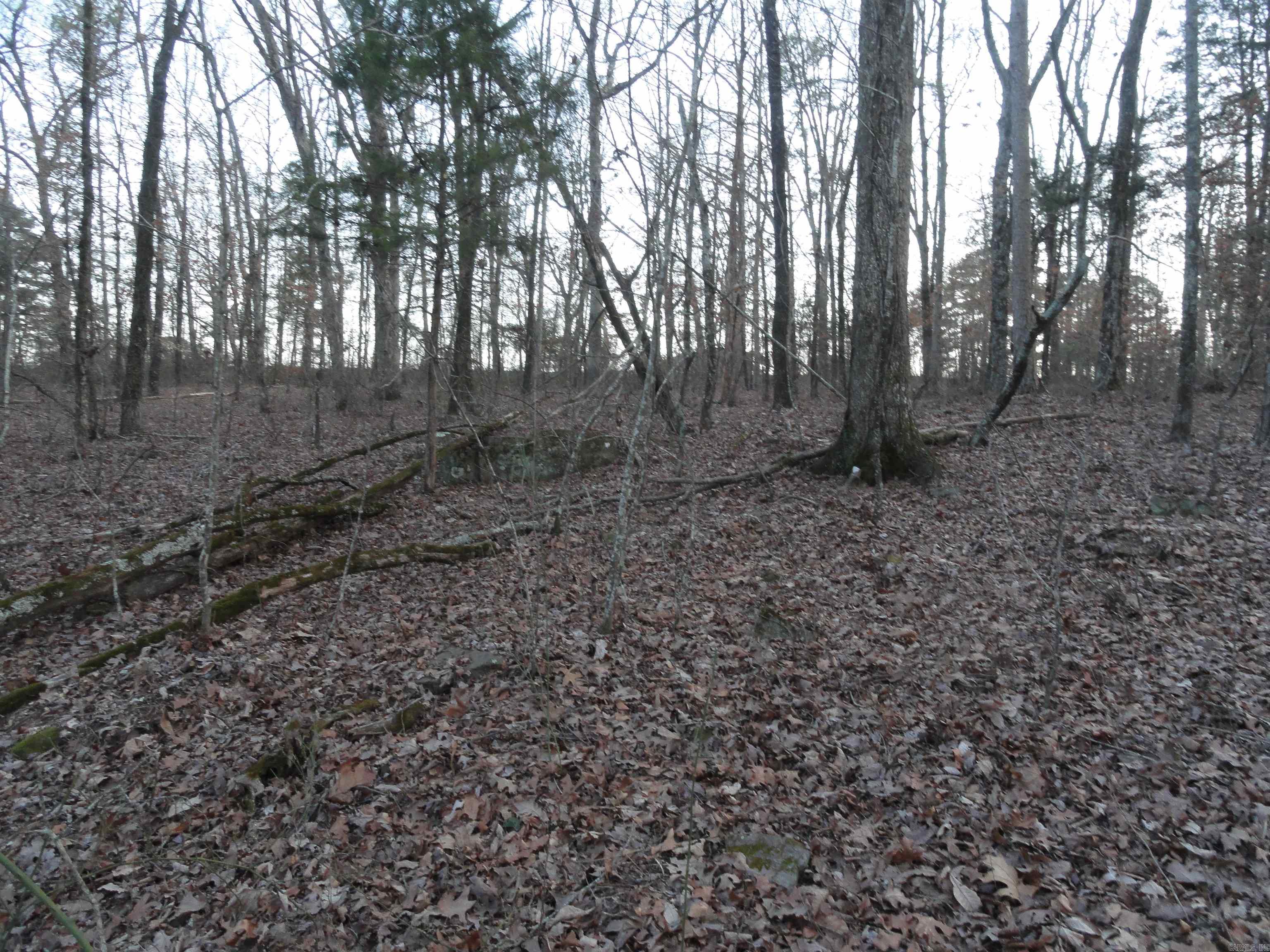 2760 Hwy 16 West Clinton, AR 72031