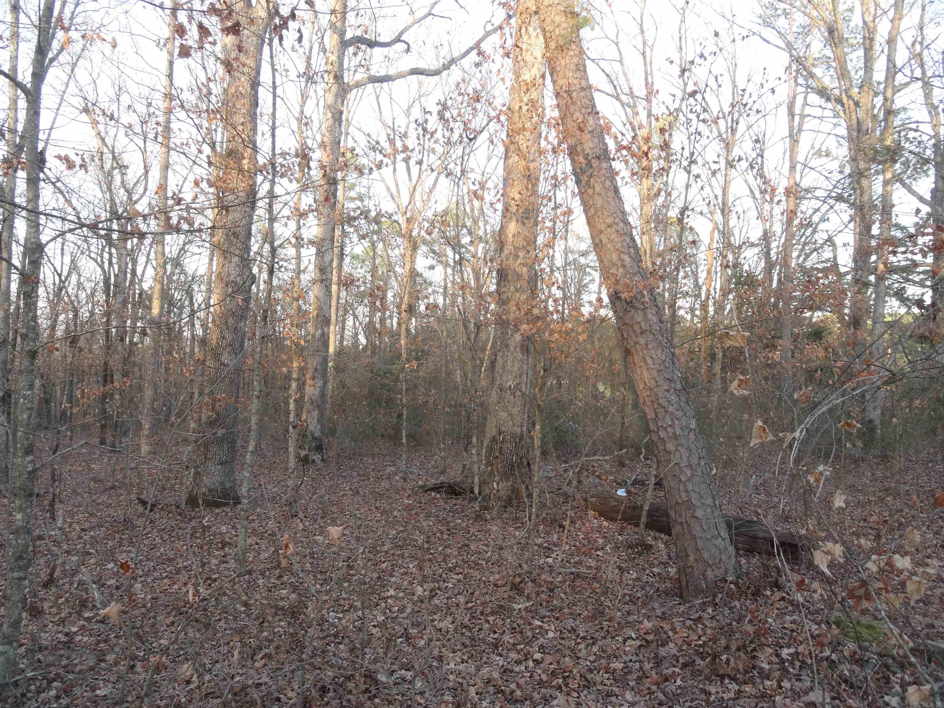 2760 Hwy 16 West Clinton, AR 72031