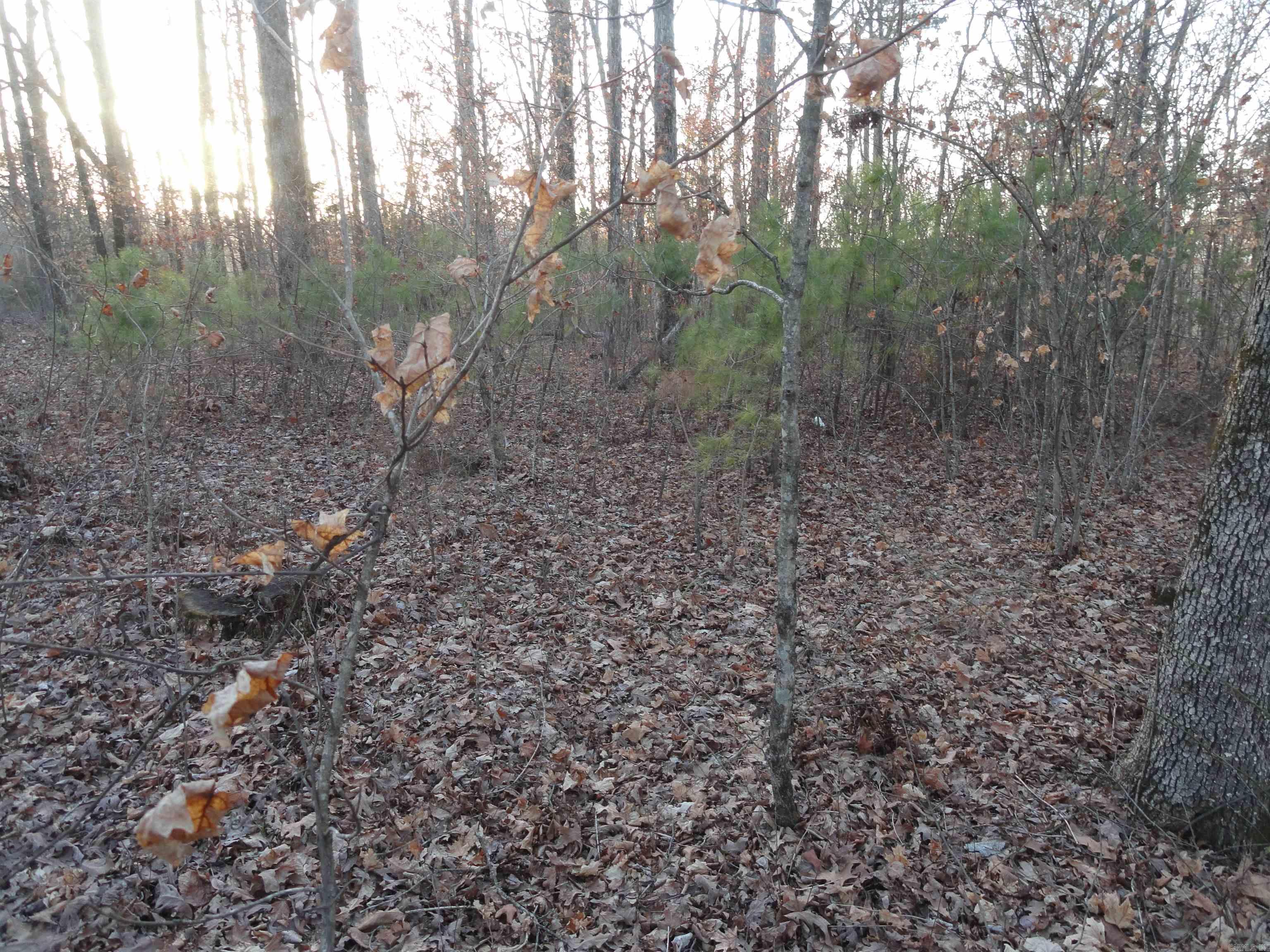 2760 Hwy 16 West Clinton, AR 72031