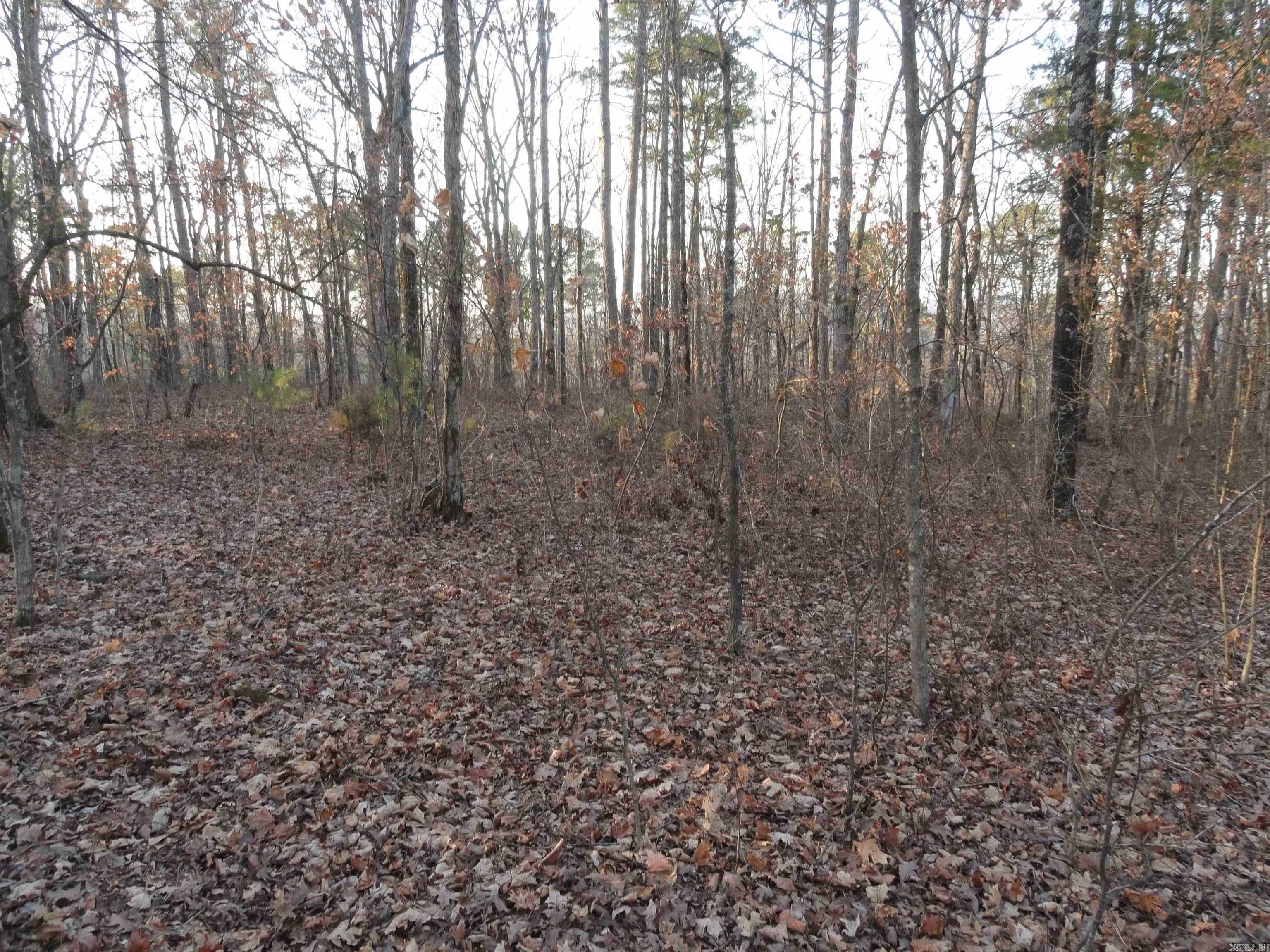 2760 Hwy 16 West Clinton, AR 72031