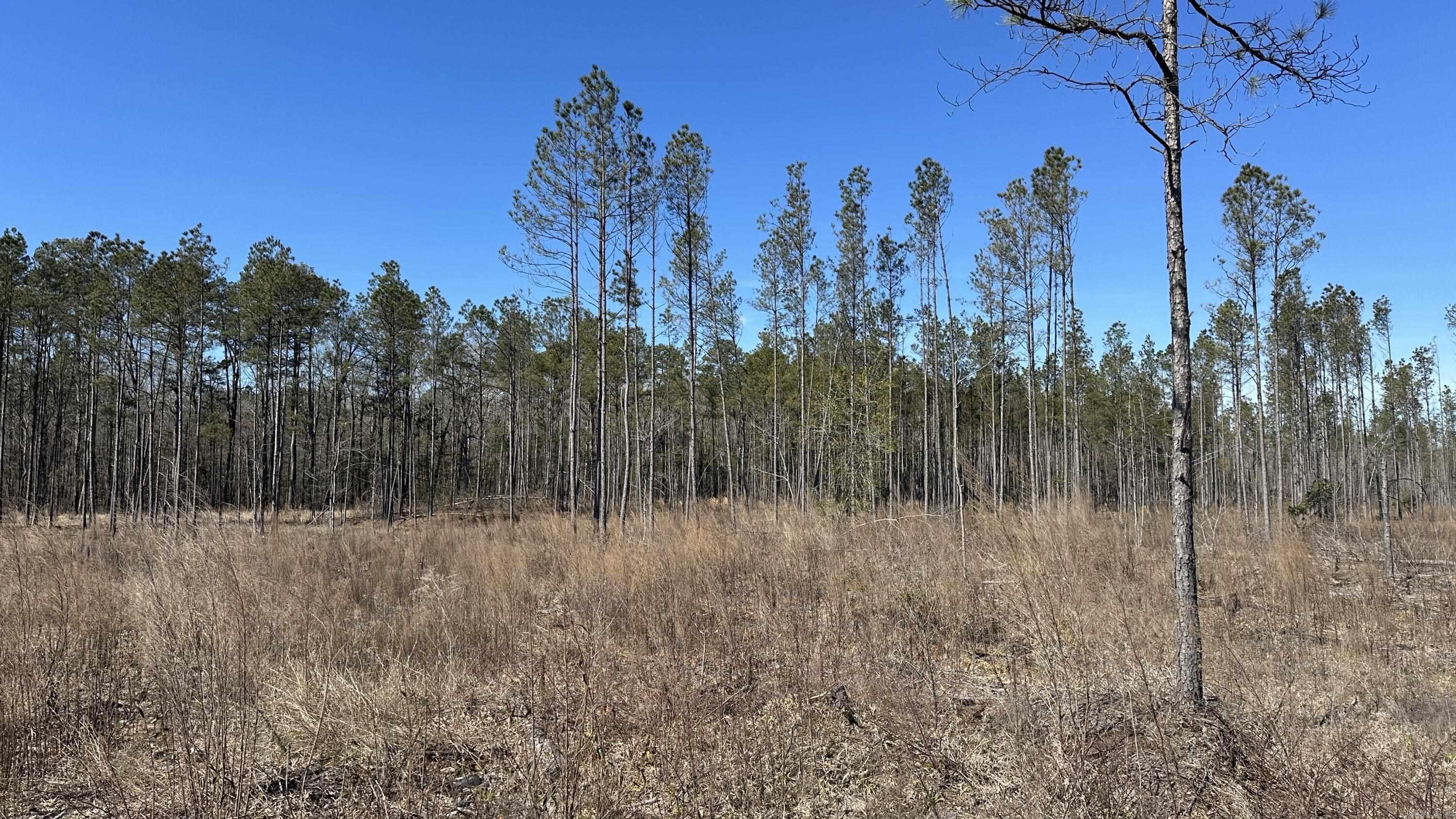 9489 Princeton Pike  White Hall, AR