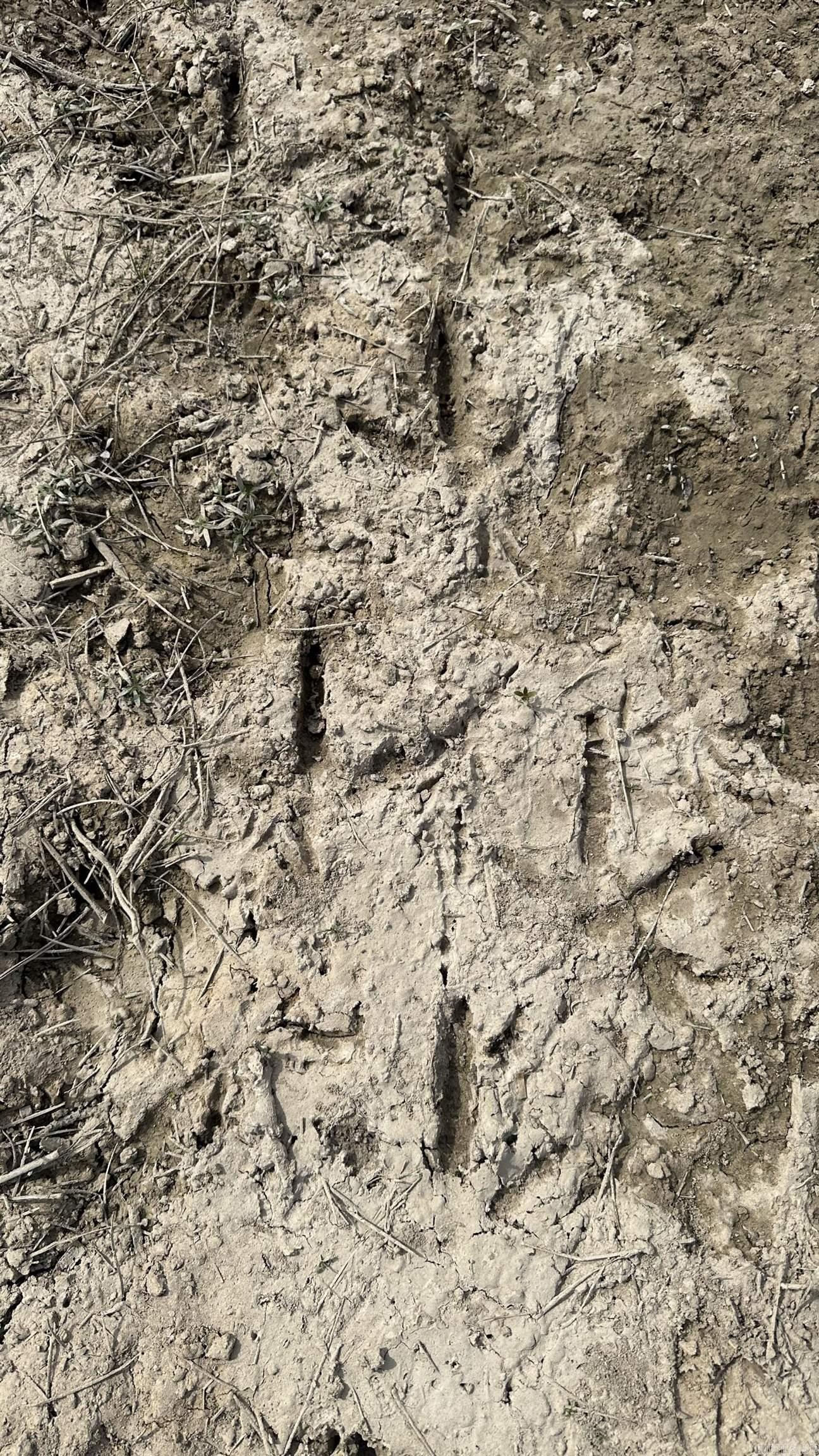 9489 Princeton Pike  White Hall, AR