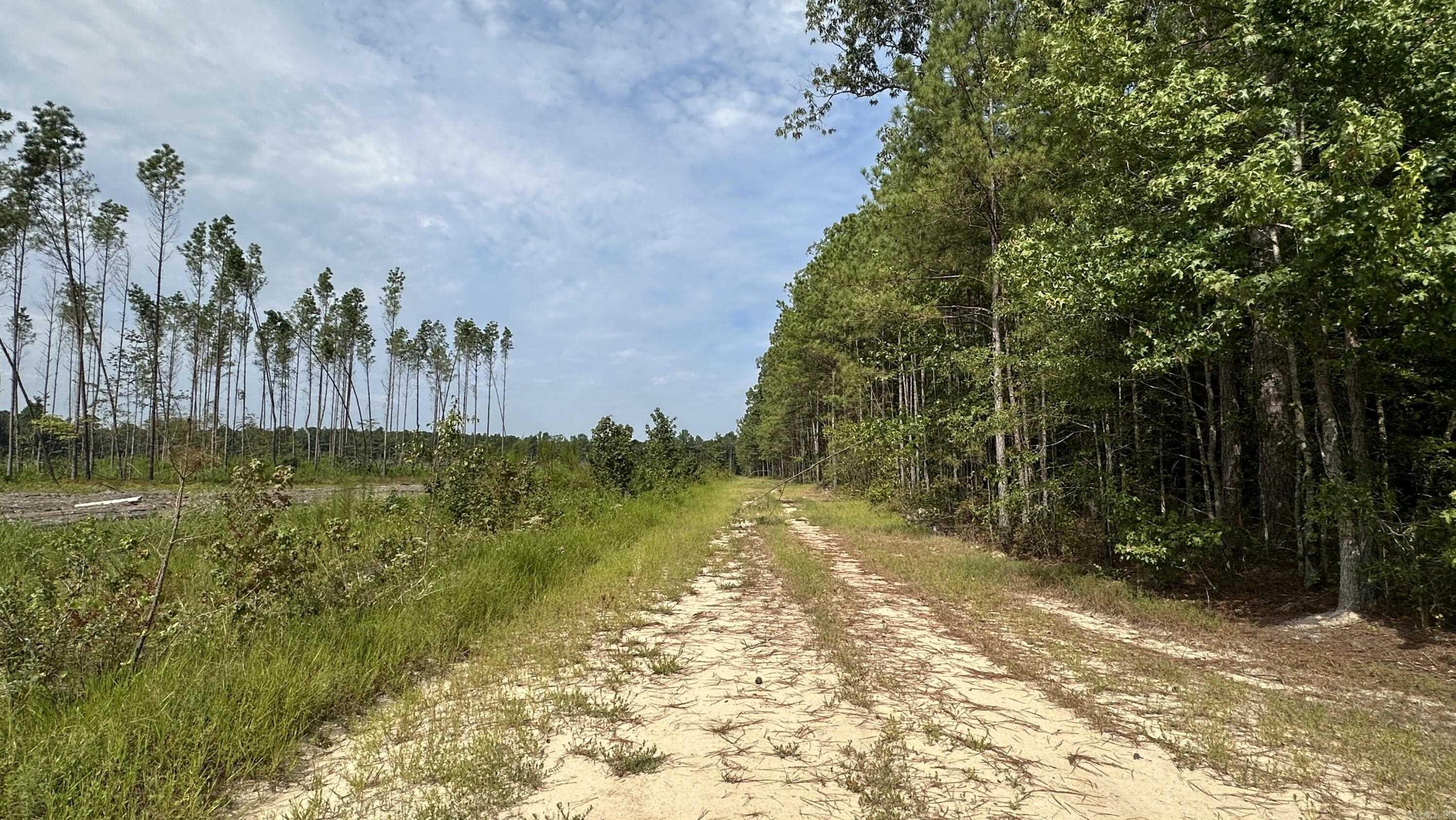 000 Hardin Reed  White Hall, AR