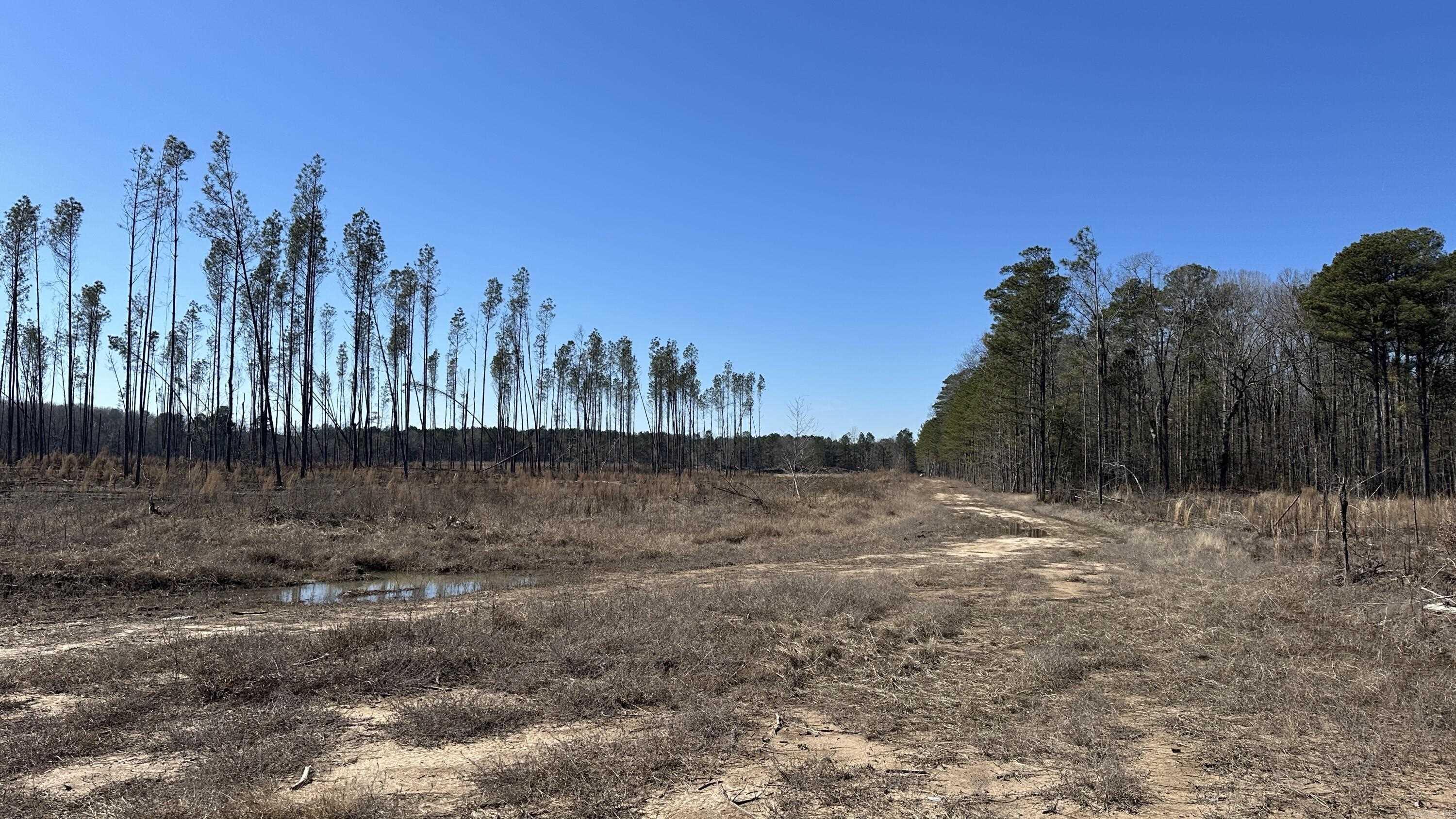 000 Hardin Reed  White Hall, AR