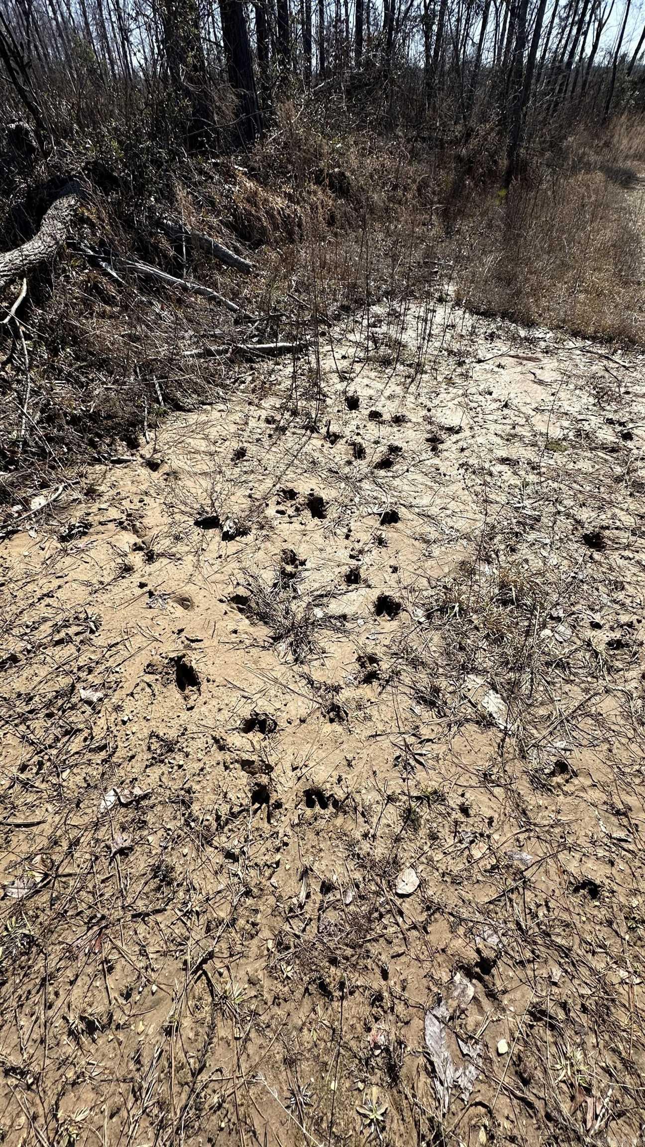 9489 Princeton Pike  White Hall, AR