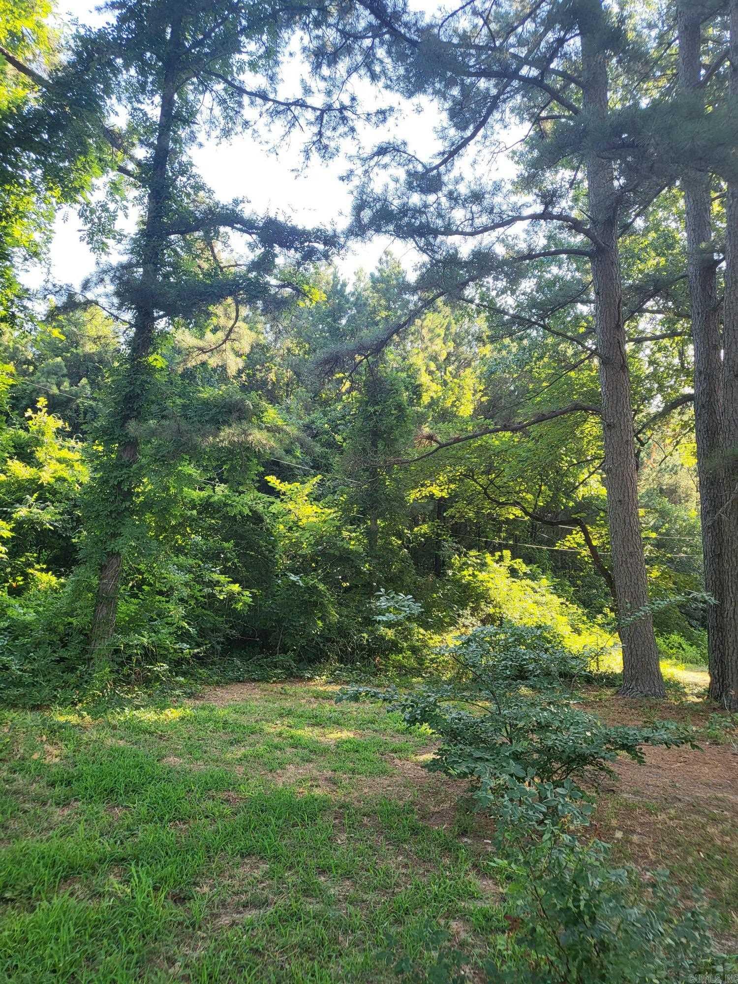 21208 N Culberhouse  Jonesboro, AR