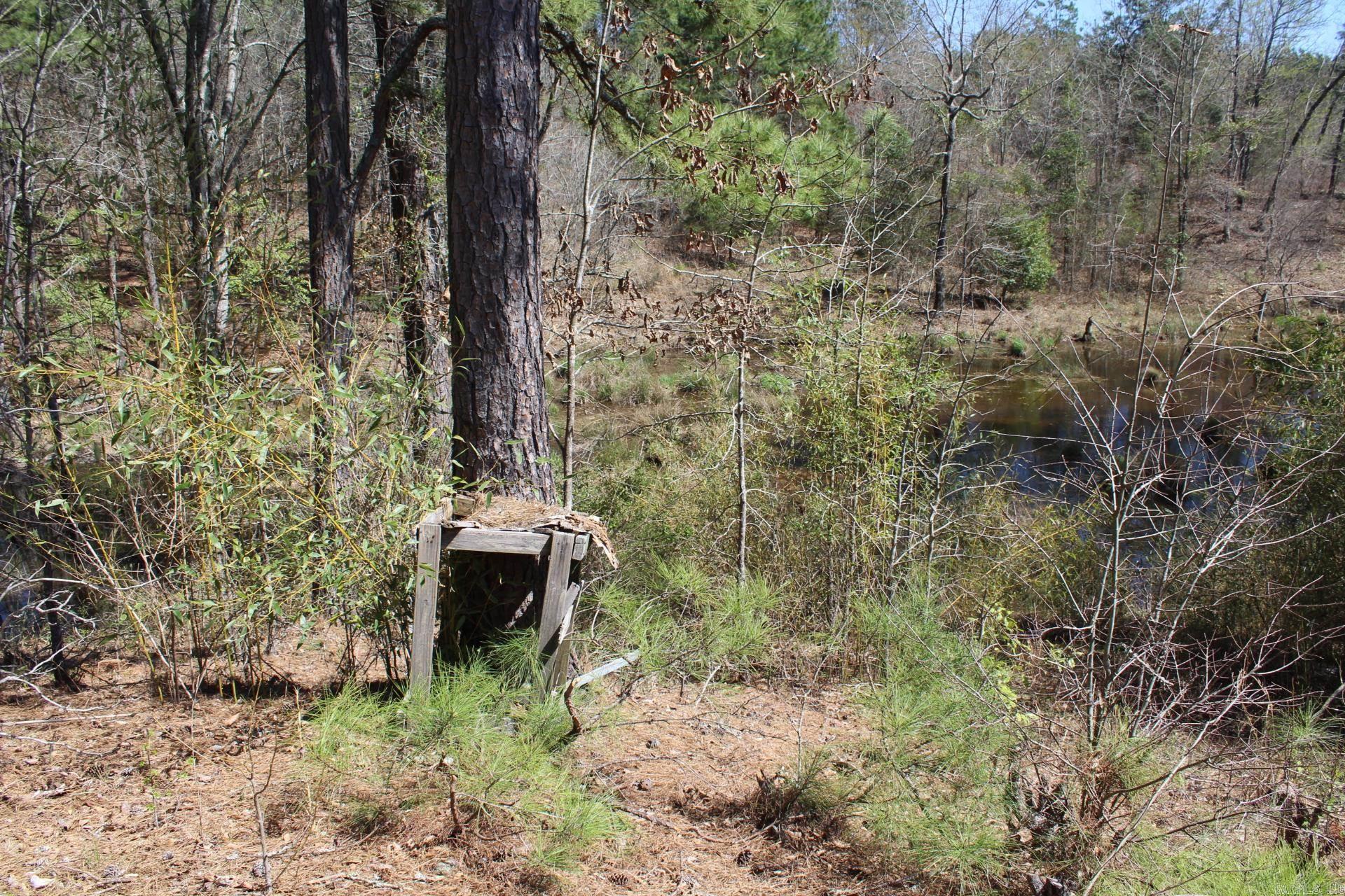 2899 Hwy. 301 S.  Murfreesboro, AR