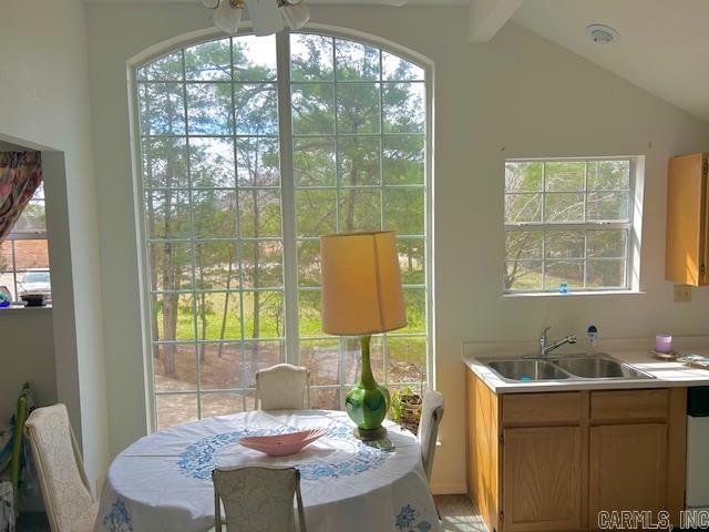 1870 Optimus River  Calico Rock, AR