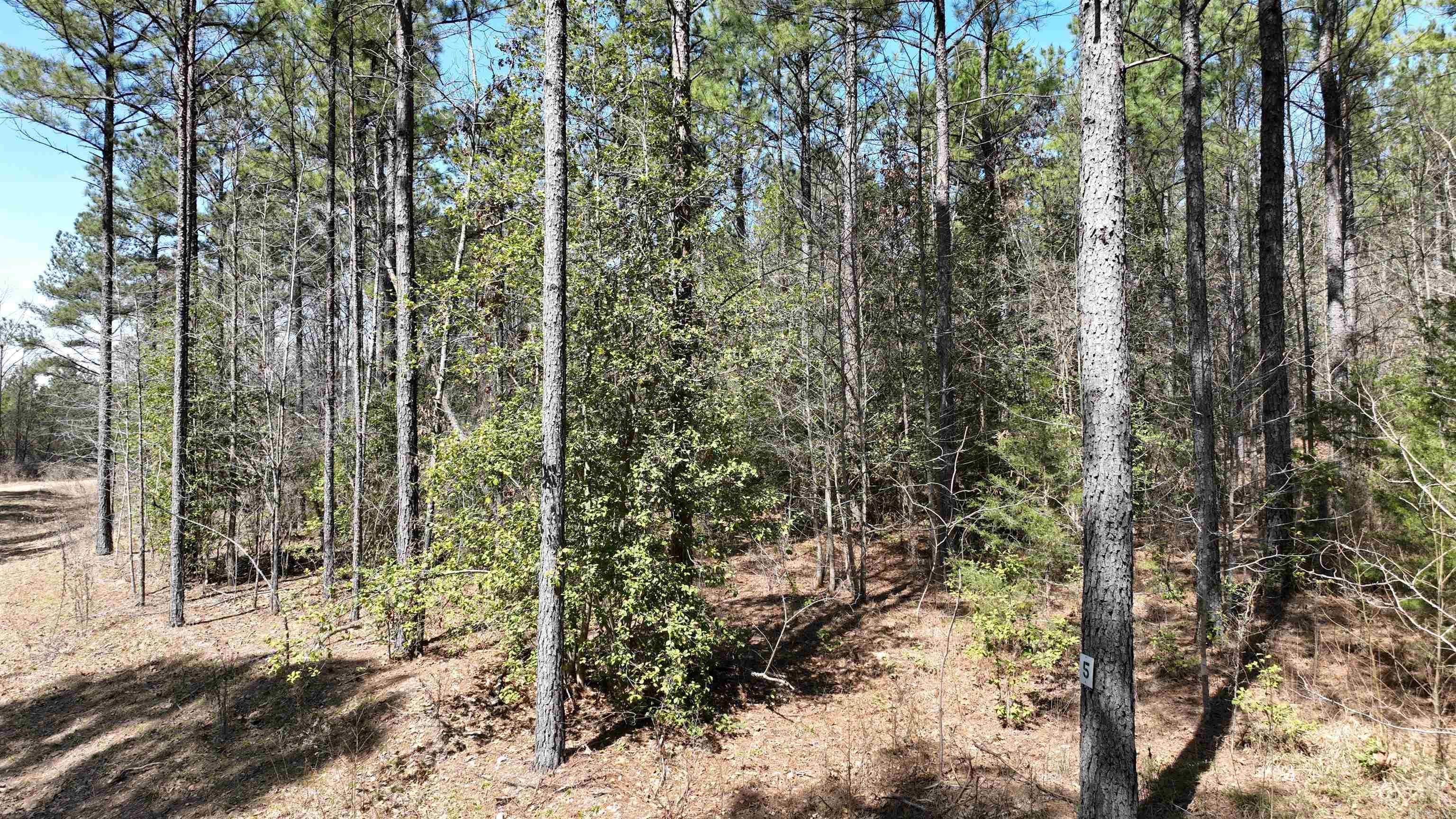 TBD Highway 375 East  (Lot4)  Mena, AR