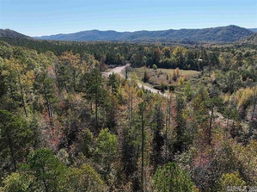TBD Highway 375 East  (Lot4)  Mena, AR