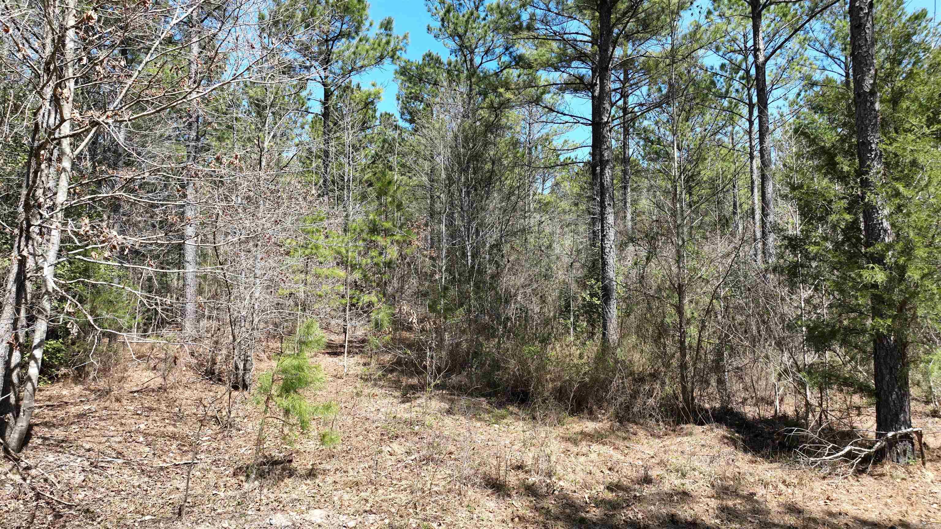 TBD Highway 375 East  (Lot4)  Mena, AR