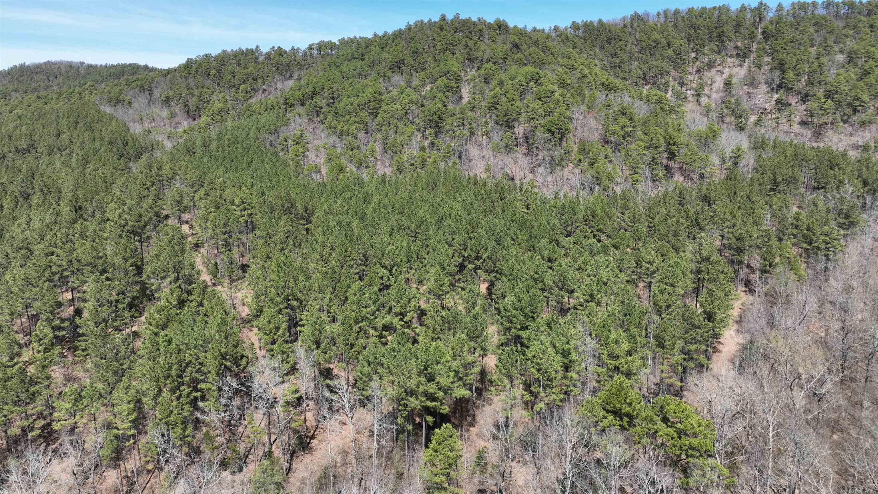 TBD Highway 375 East    ( Lot 7)  Mena, AR