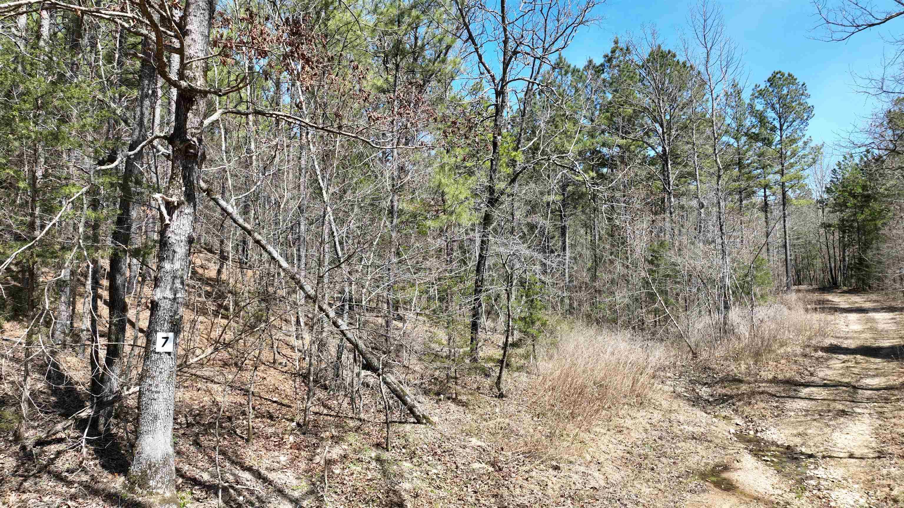 TBD Highway 375 East    ( Lot 7)  Mena, AR
