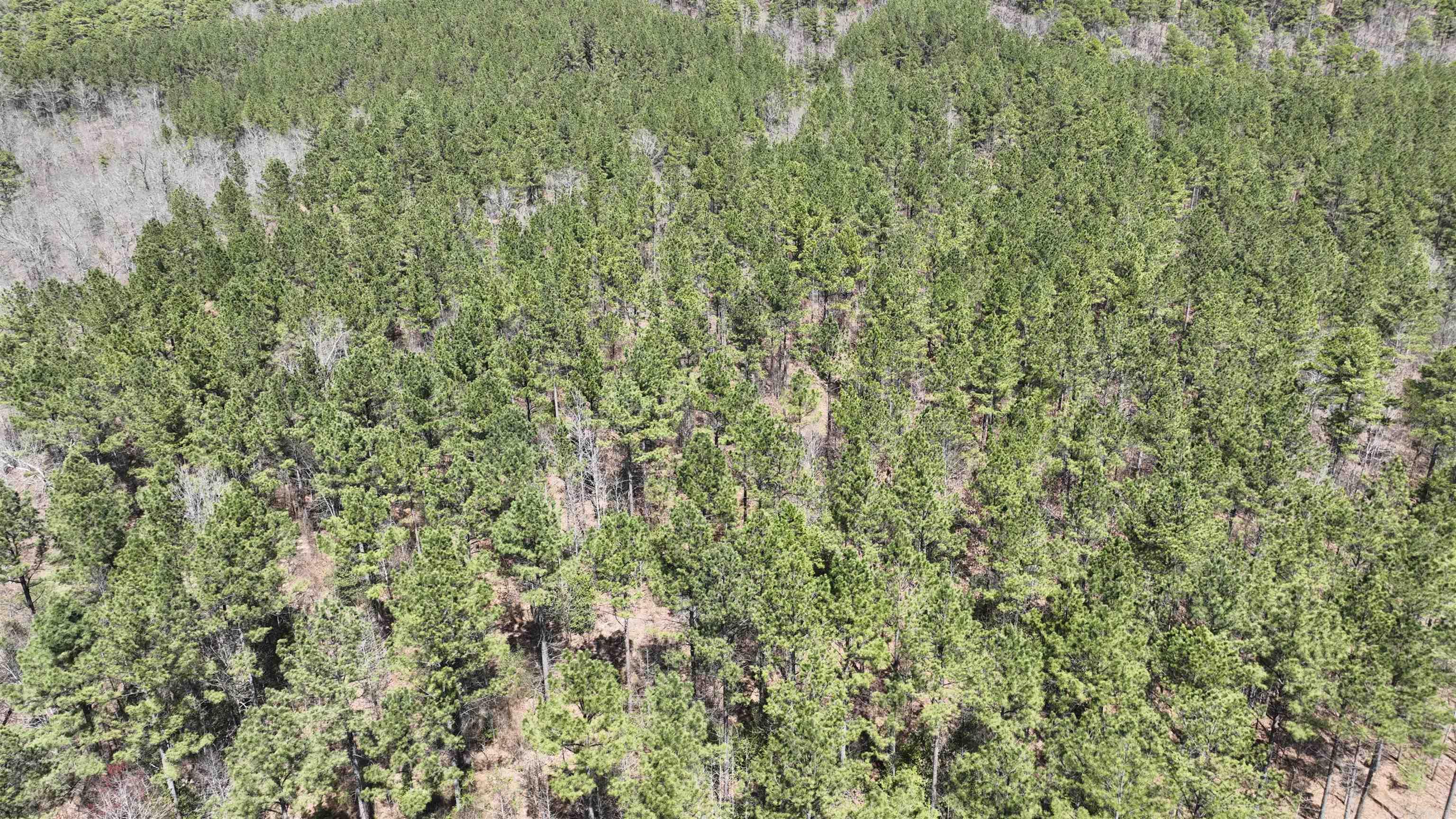 TBD Highway 375 East    ( Lot 7)  Mena, AR