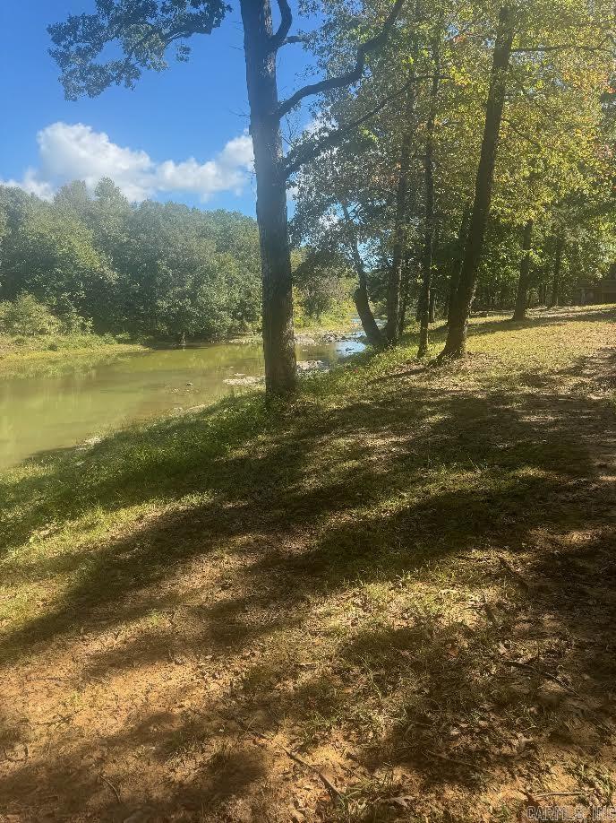 TBD Pioneer Lane West LOT #4 Hatfield, AR 71945