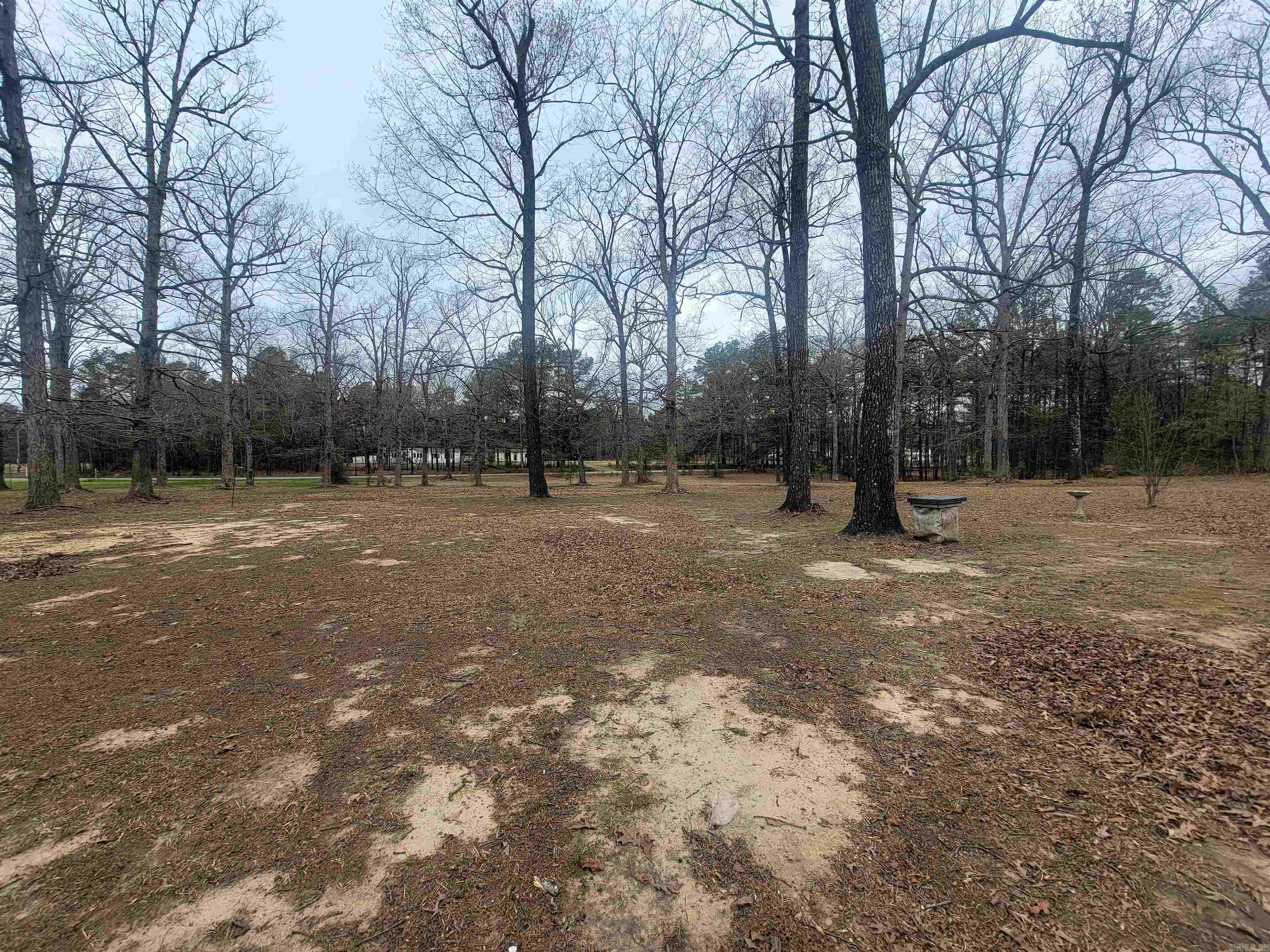 6901 Camden Cutoff  Pine Bluff, AR