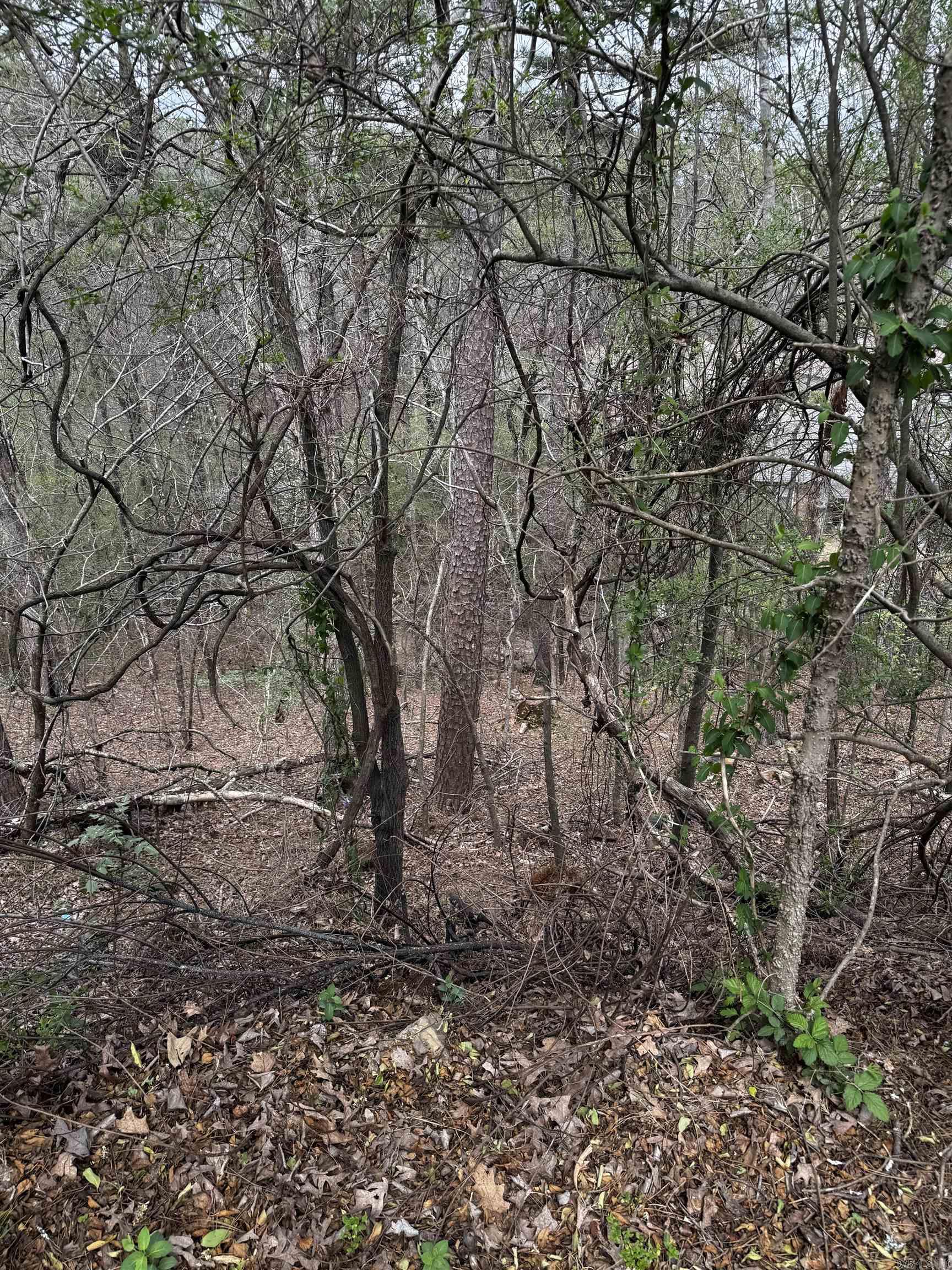 Lot 31 Forest View  Hot Springs, AR