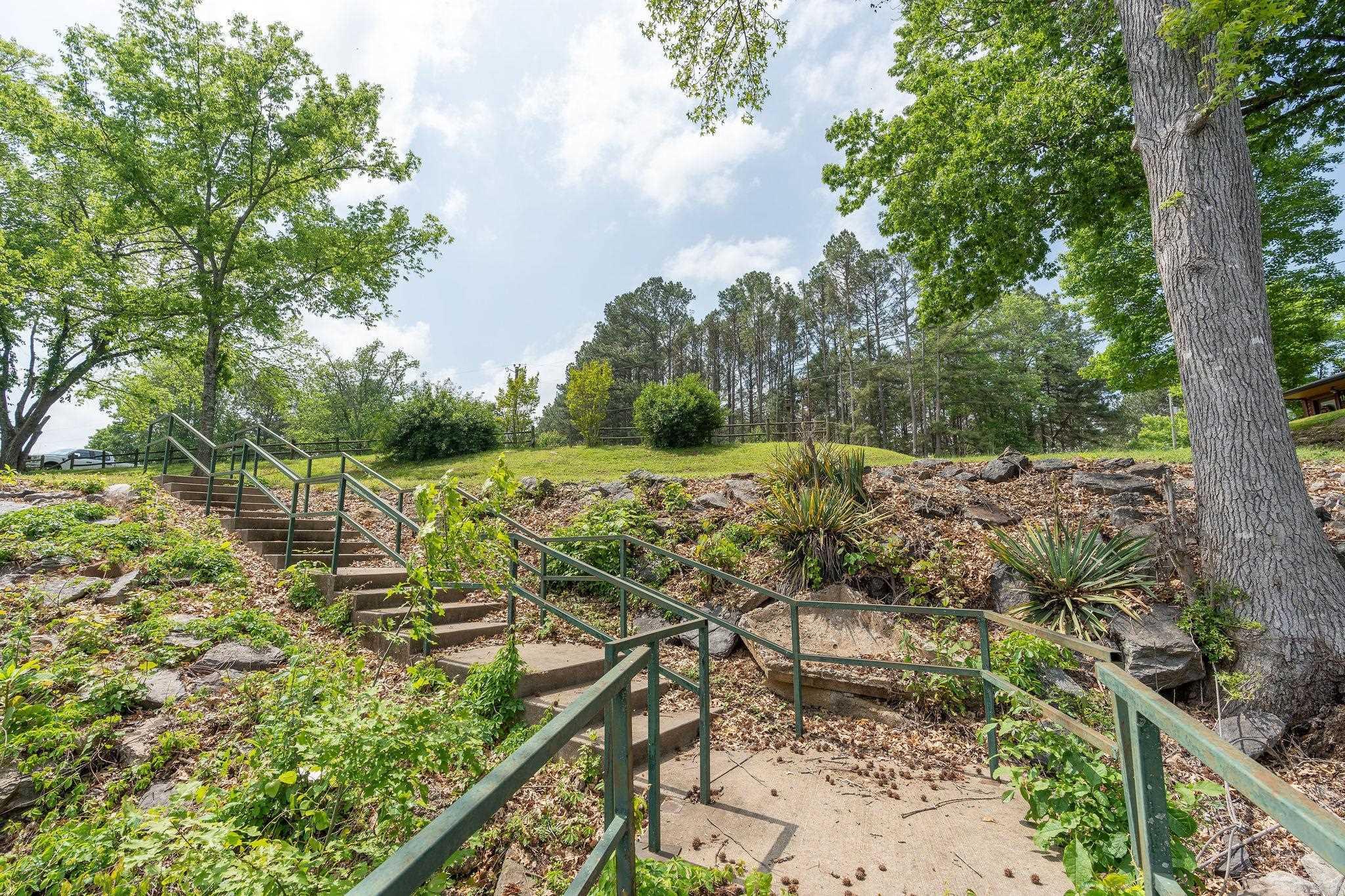 2E Swinging Bridge  Heber Springs, AR