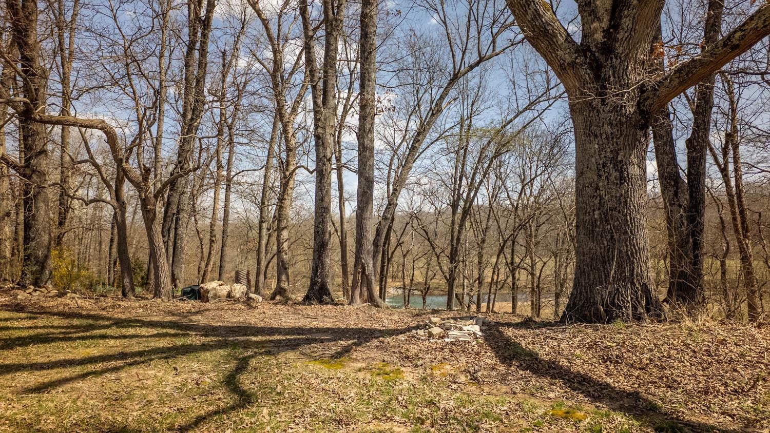 4551 Hwy 395 N  Salem, AR